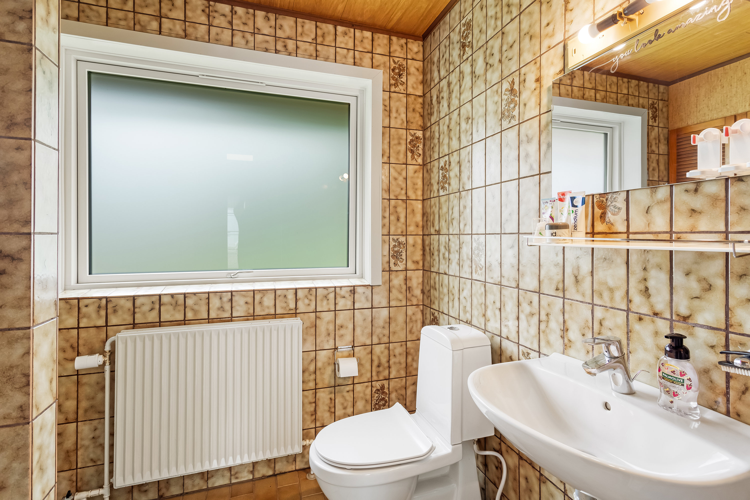 Fremhævet toilet billede i fuldskærmstilstand. Billede af Frifeltvej 38, Normsted, 6780 Skærbæk