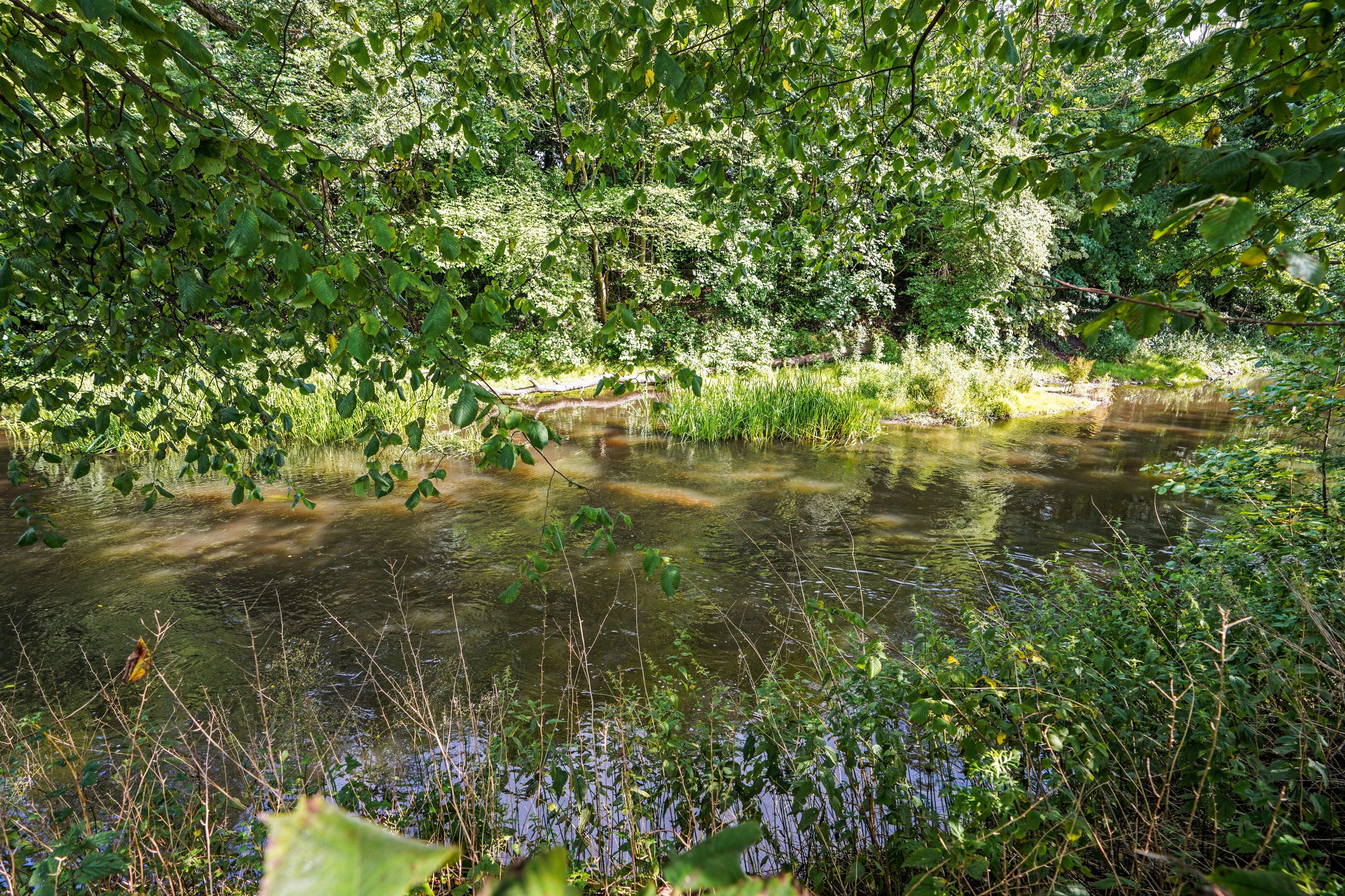 Fremhævet  billede i fuldskærmstilstand. Billede af Nøkkerosen 5, Dalum, 5250 Odense SV