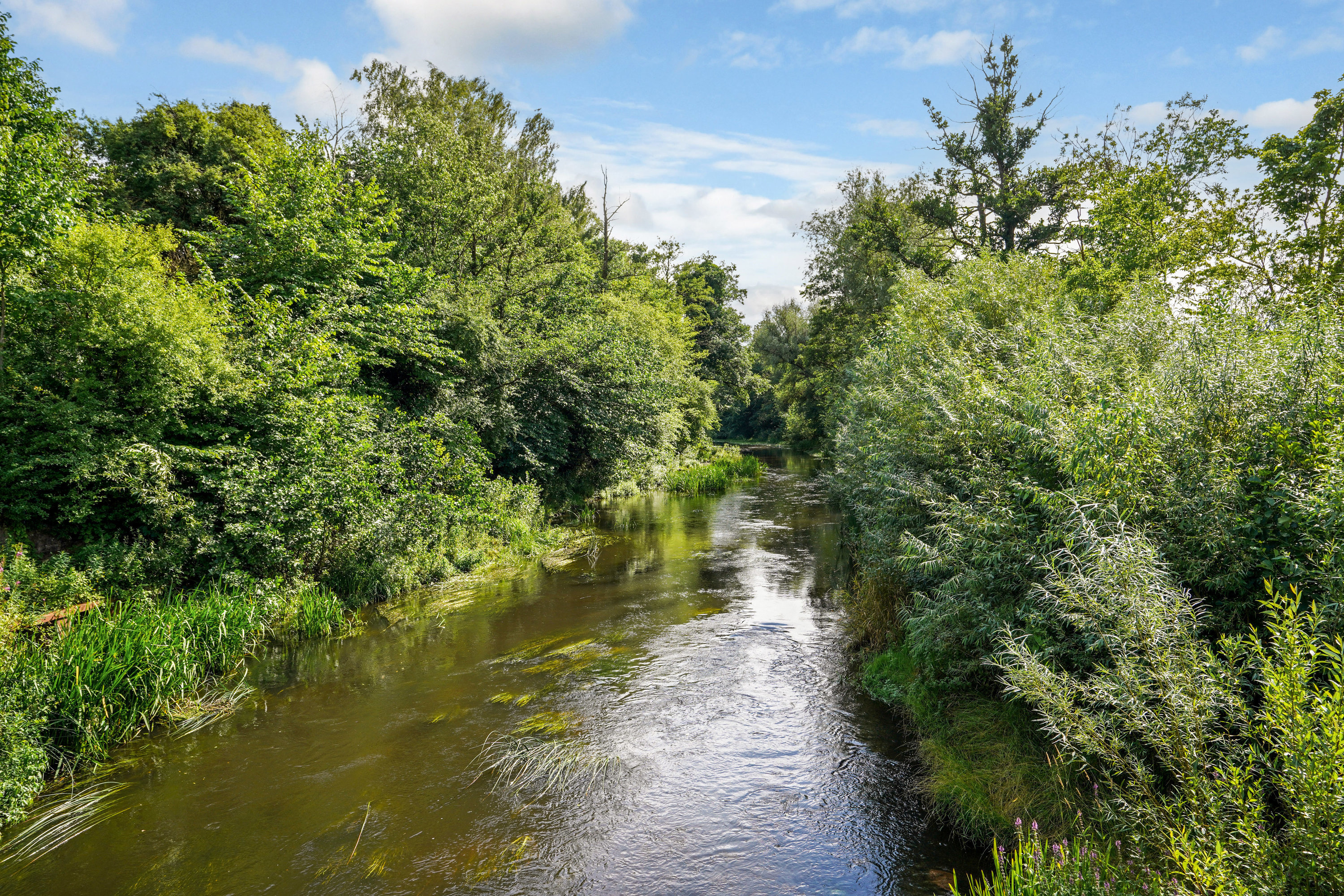 Fremhævet  billede i fuldskærmstilstand. Billede af Nøkkerosen 9, Dalum, 5250 Odense SV