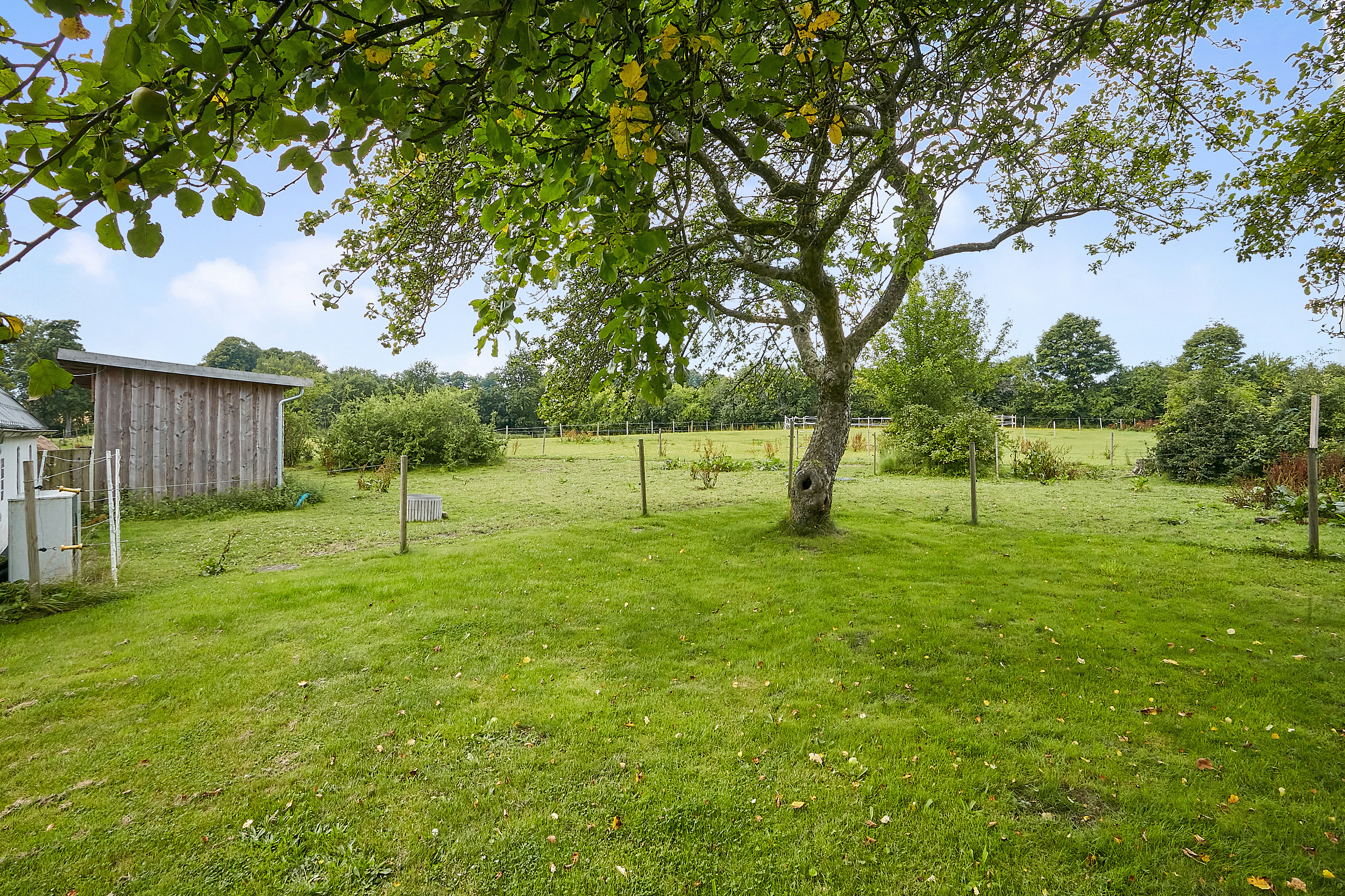Fremhævet  billede i fuldskærmstilstand. Billede af Vongevej 1, Brandbjerg, 7300 Jelling