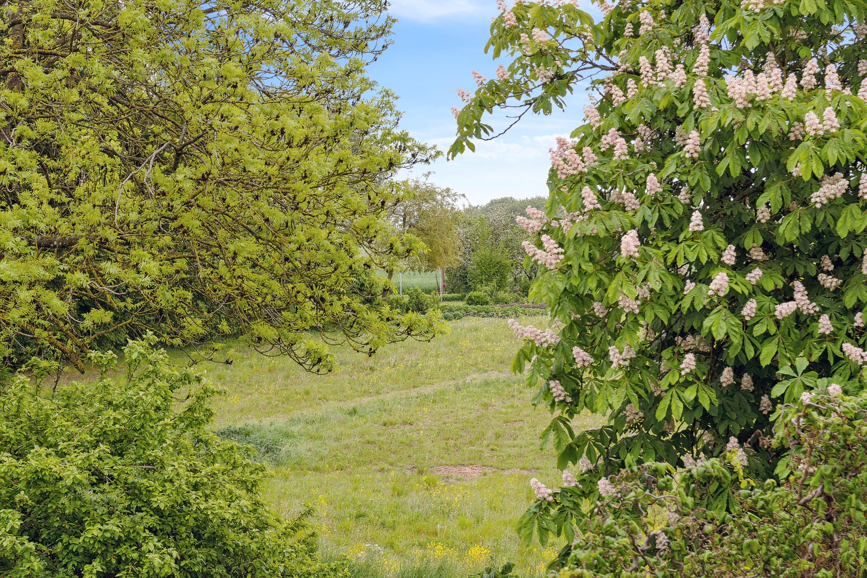 Fremhævet udendørs billede i fuldskærmstilstand. Billede af Kirkebakken 12, Sdr Vinge, 8860 Ulstrup