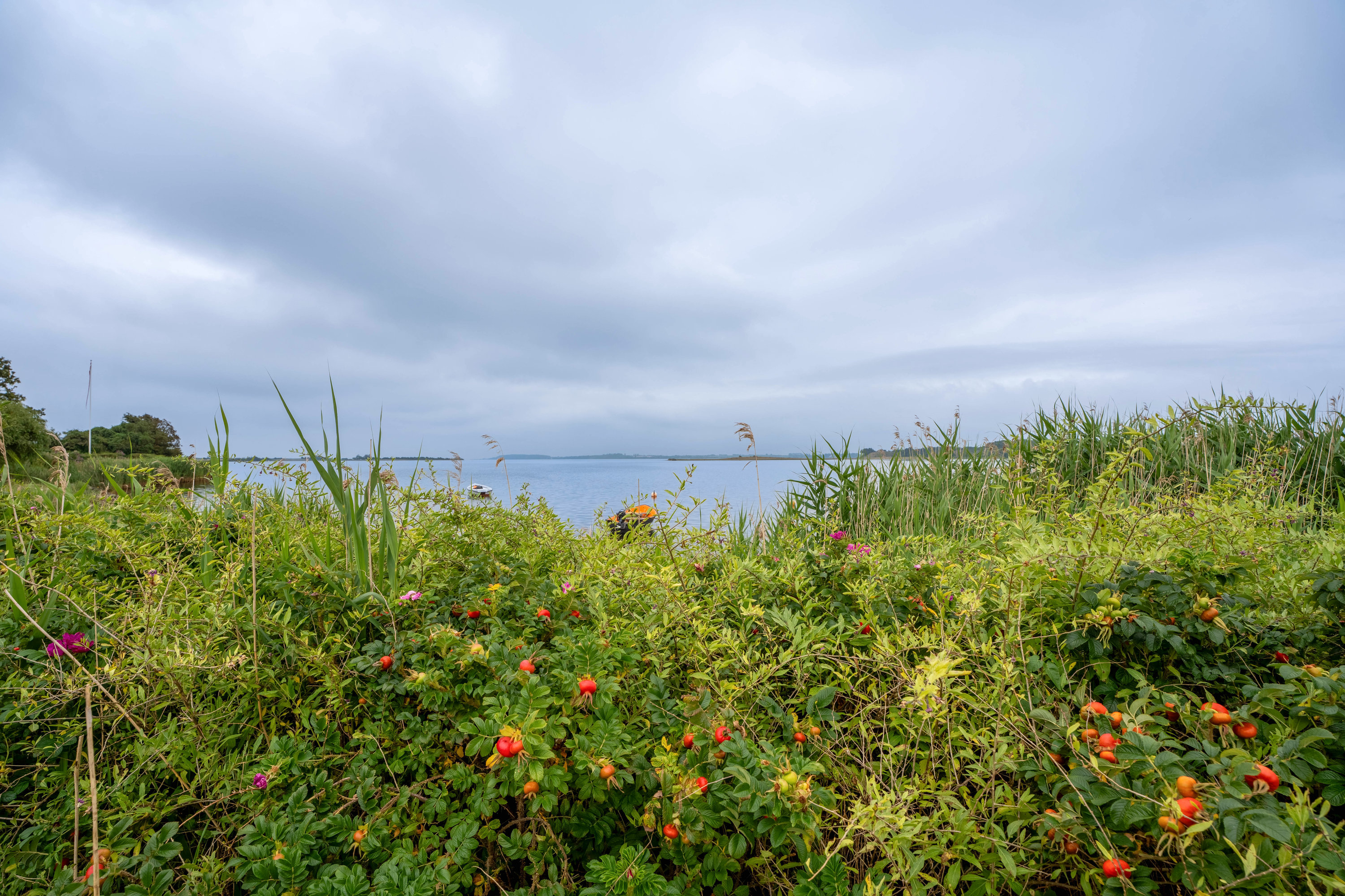 Fremhævet  billede i fuldskærmstilstand. Billede af Brunshusevej 75, Enemærket, 5683 Haarby