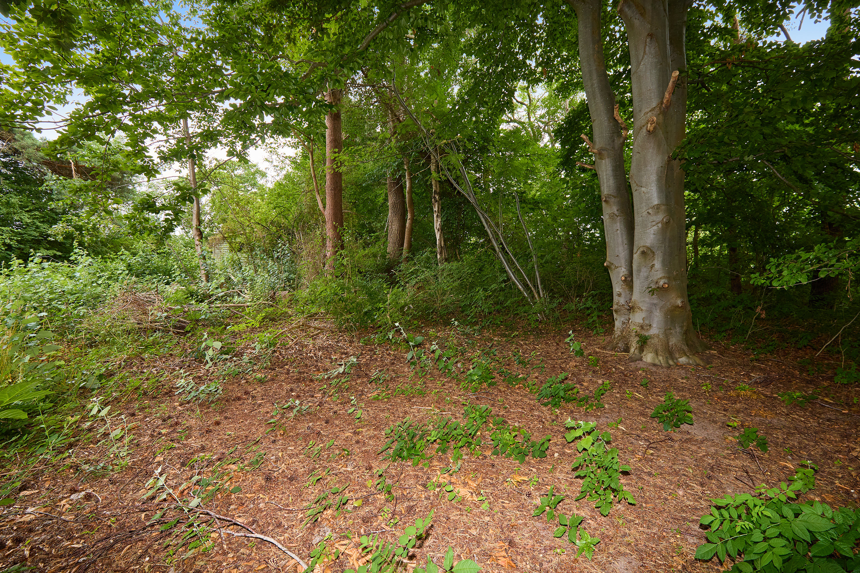 Fremhævet have billede i fuldskærmstilstand. Billede af Vikingevej 34, Kulhuse, 3630 Jægerspris