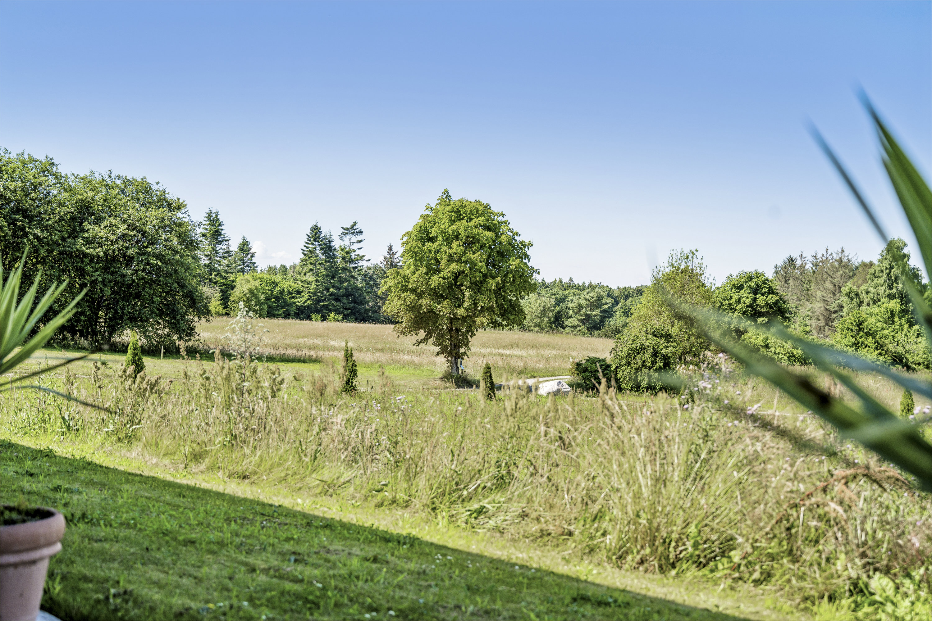 Fremhævet  billede i fuldskærmstilstand. Billede af Astrupvej 65, Vive, 9560 Hadsund