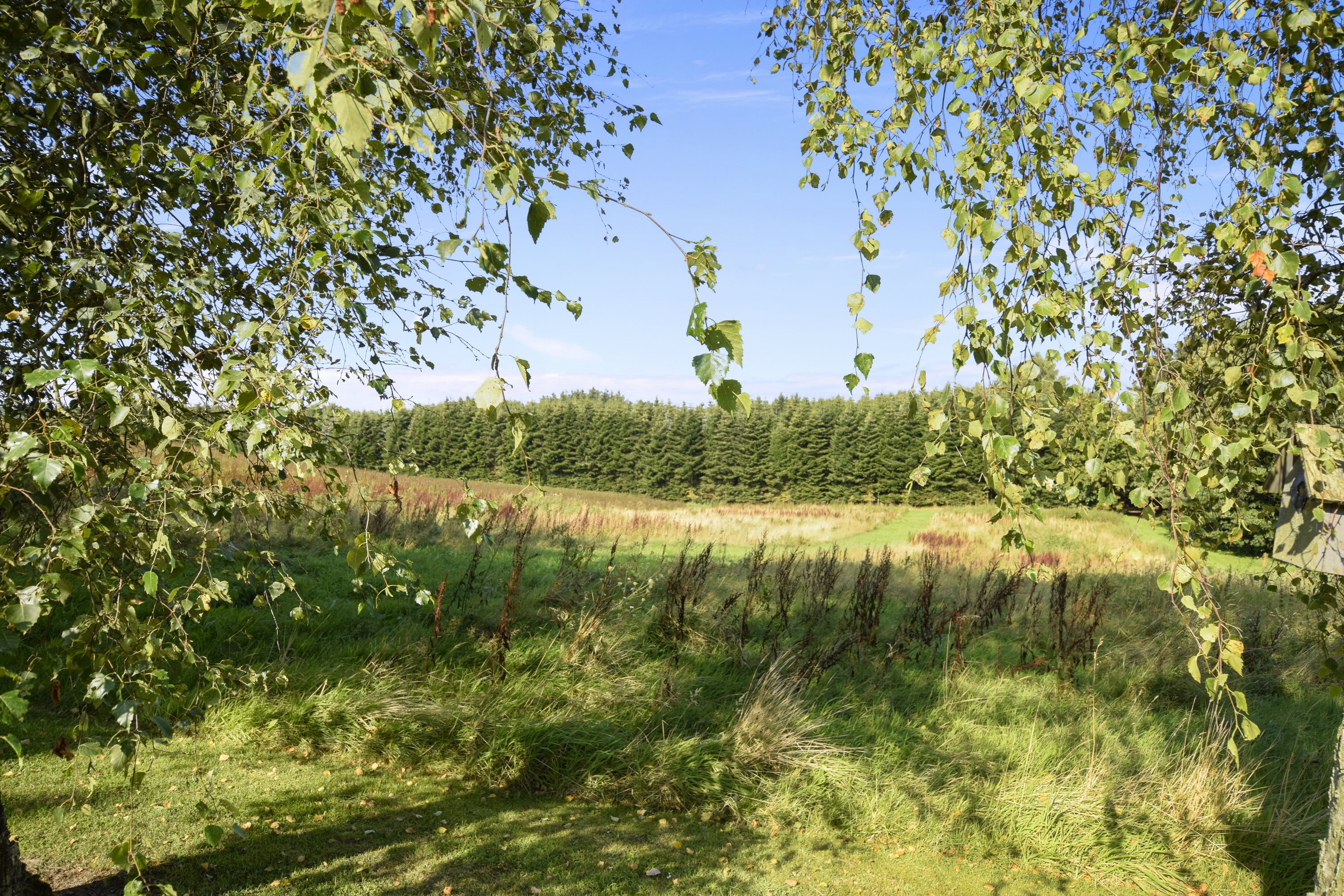 Fremhævet område billede i fuldskærmstilstand. Billede af Horsensvej 58, Tebstrup, 8660 Skanderborg