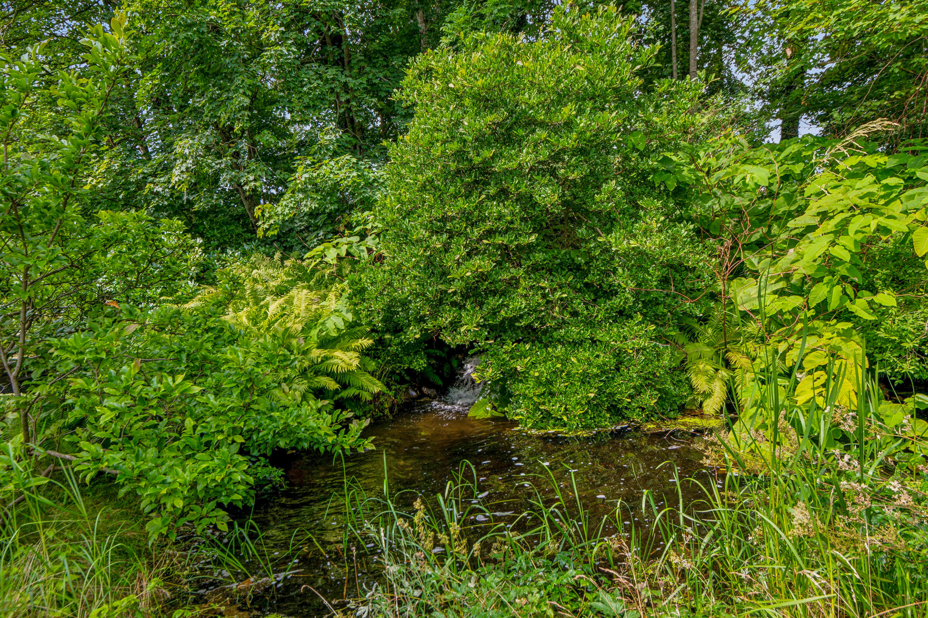 Fremhævet have billede i fuldskærmstilstand. Billede af Kelddalvej 15, Kelddalgårde, 9240 Nibe