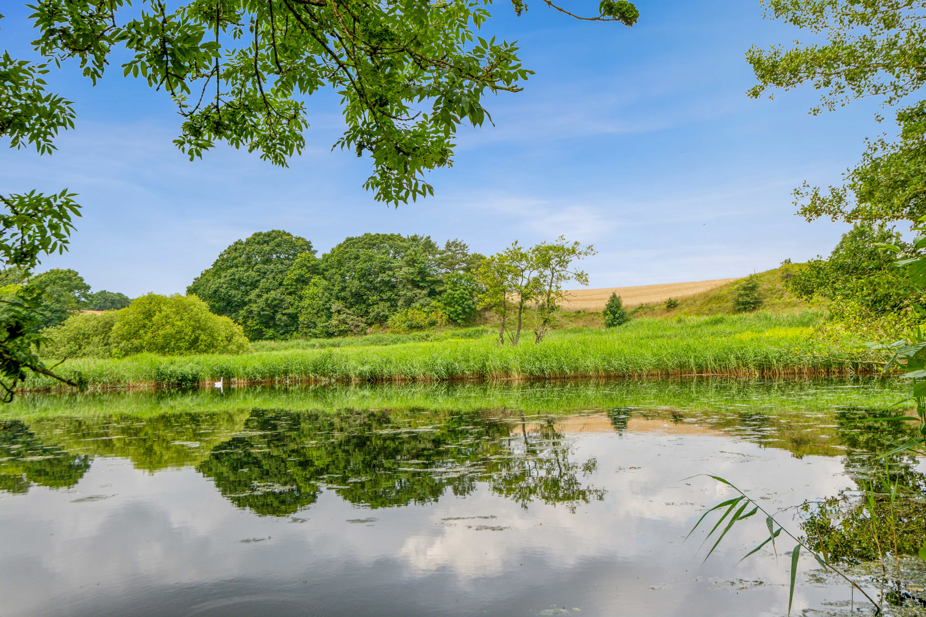 Miniaturebillede 2: område. Billede af Kelddalvej 15, Kelddalgårde, 9240 Nibe