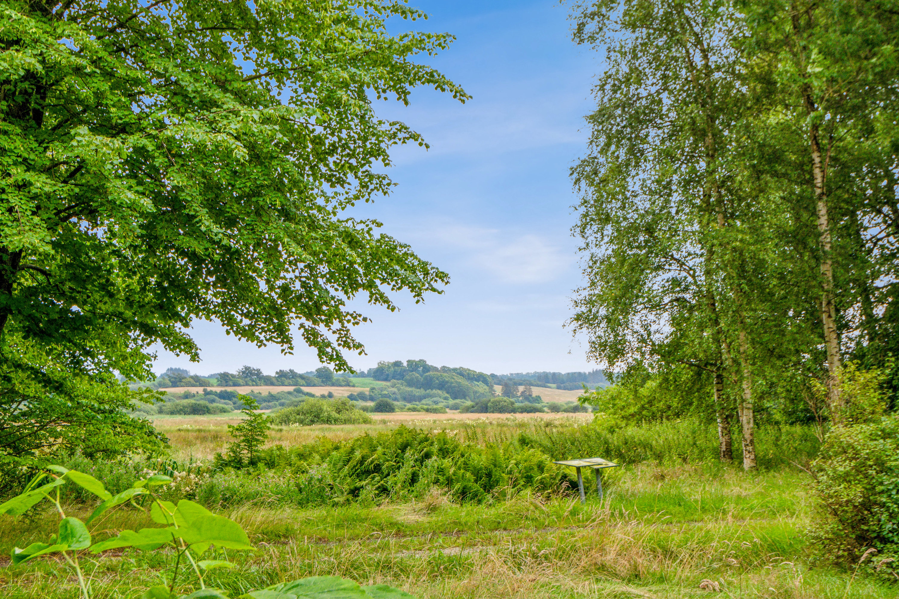 Fremhævet have billede i fuldskærmstilstand. Billede af Kelddalvej 15, Kelddalgårde, 9240 Nibe