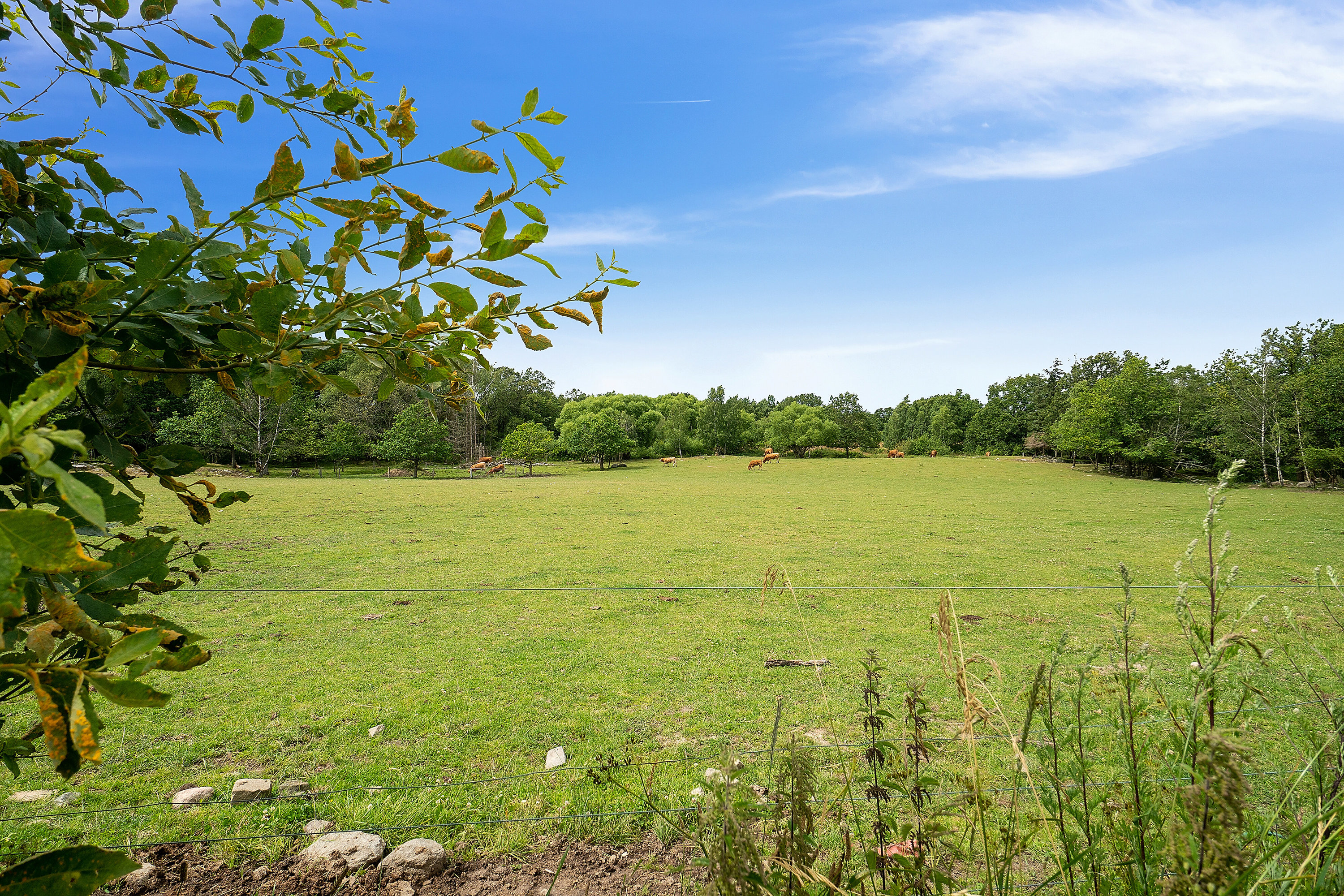Fremhævet udendørs billede i fuldskærmstilstand. Billede af Puggevej 1, Rø, 3760 Gudhjem
