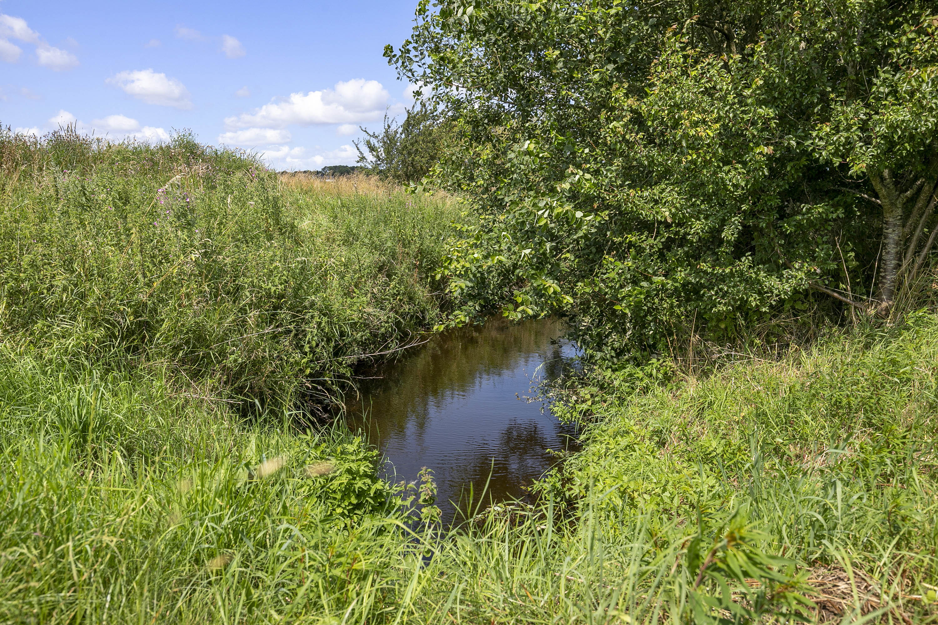 Fremhævet have billede i fuldskærmstilstand. Billede af Viborgvej 56, St Binderup, 9600 Aars