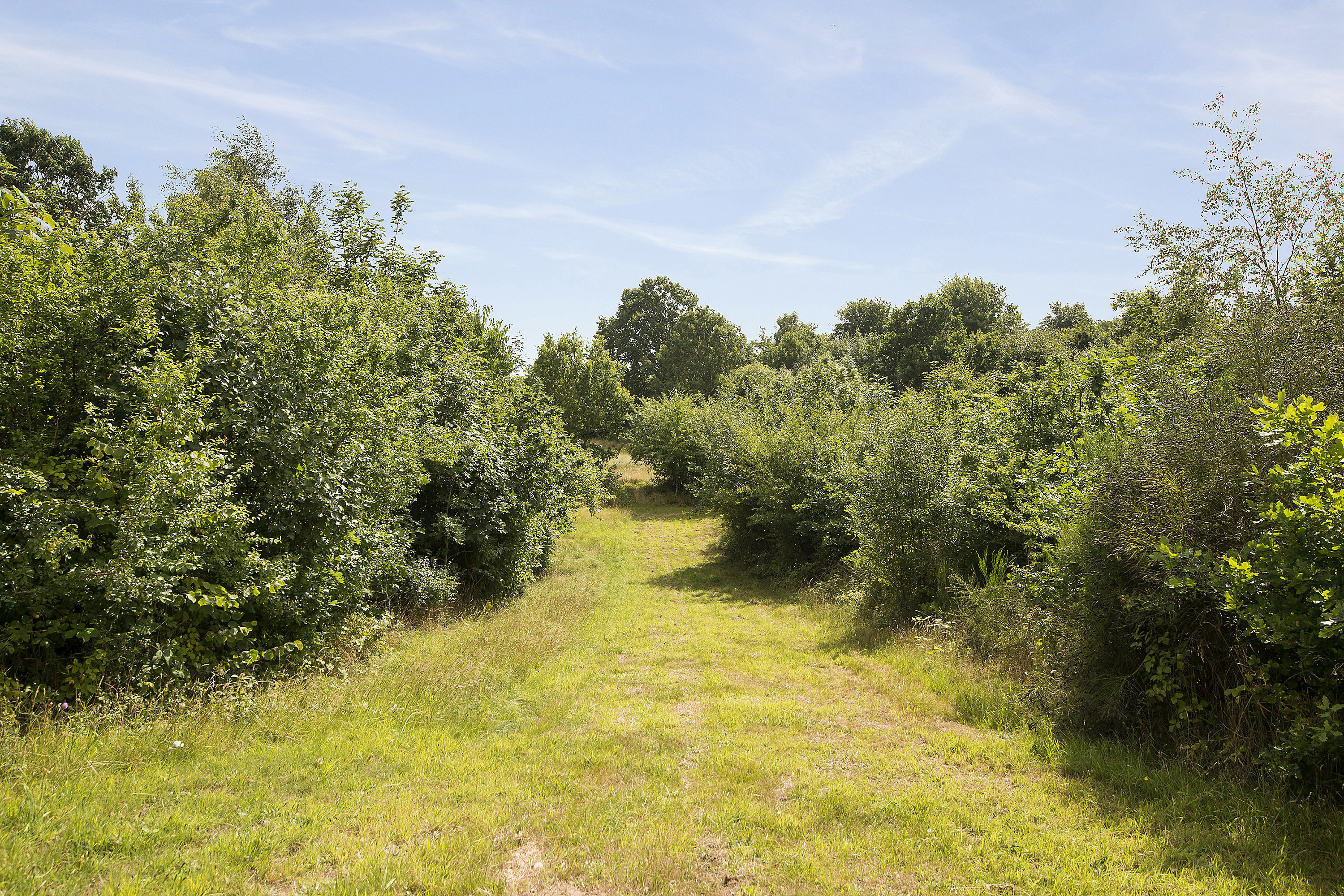 Fremhævet område billede i fuldskærmstilstand. Billede af Alrøvej 104, Amstrup, 8300 Odder