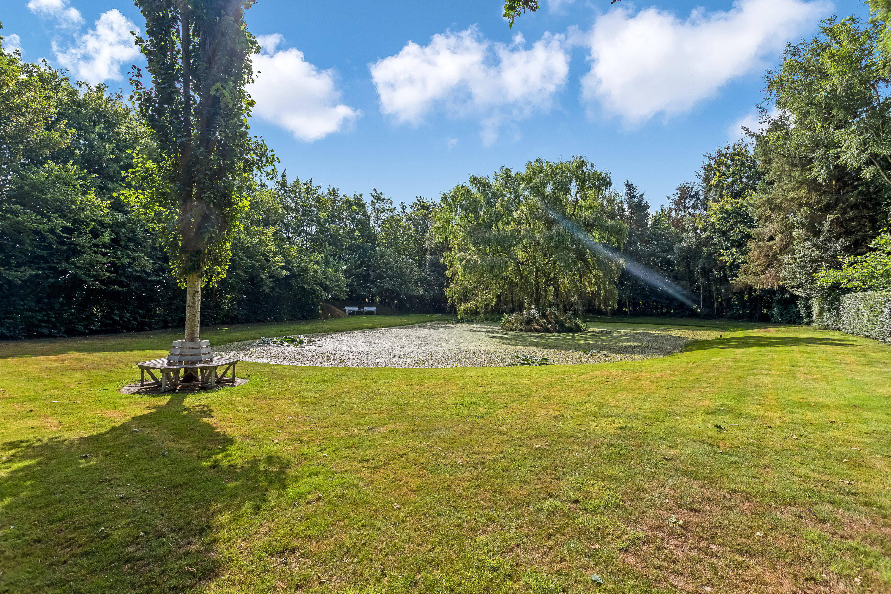 Miniaturebillede 2: have. Billede af Rudbølvej 3, 6280 Højer