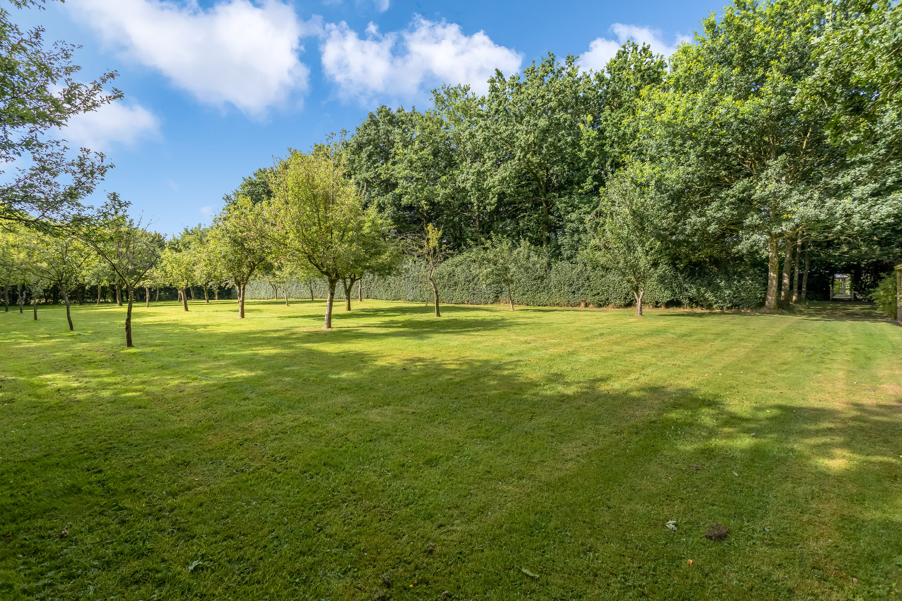 Fremhævet have billede i fuldskærmstilstand. Billede af Rudbølvej 3, 6280 Højer