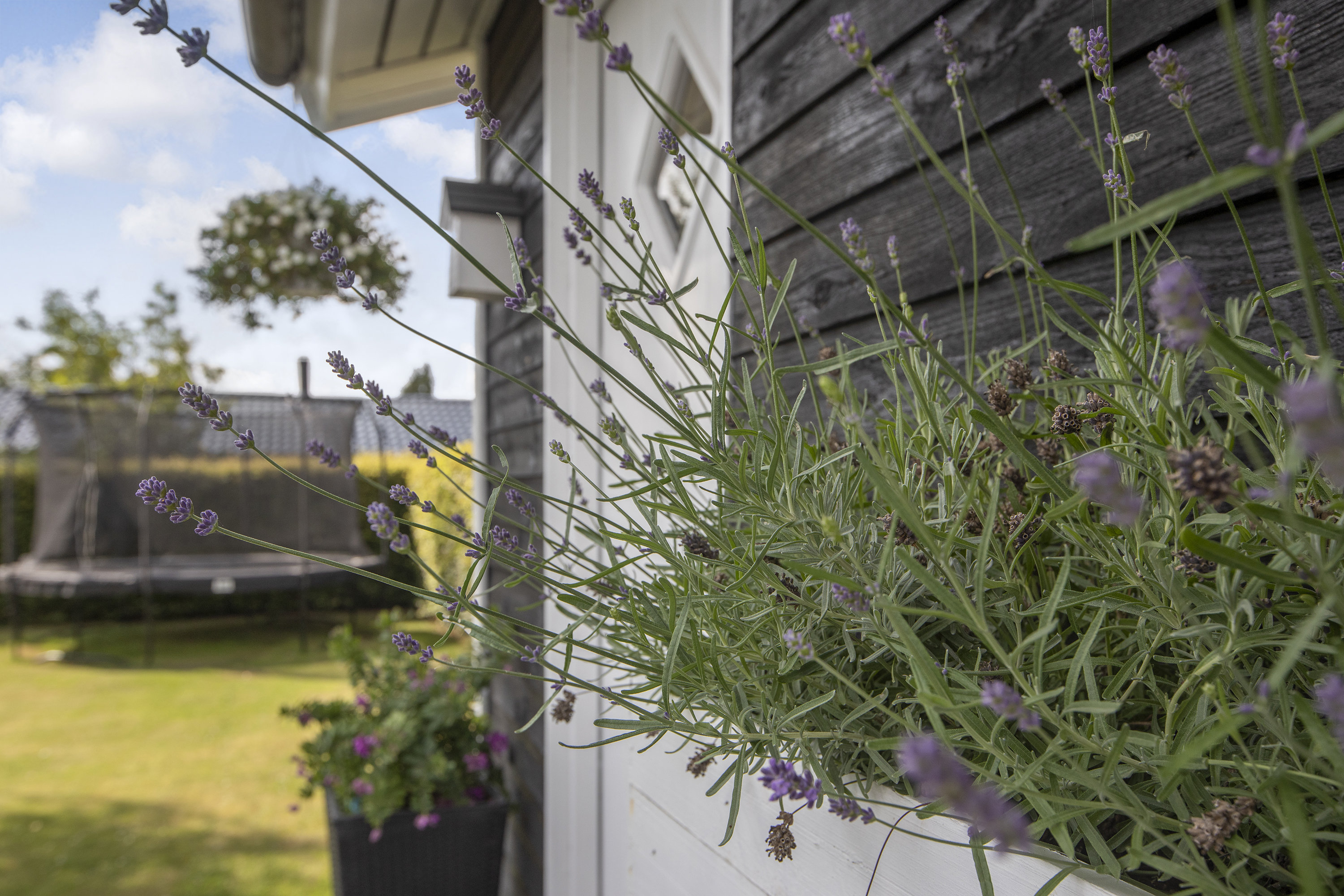 Fremhævet terrasse billede i fuldskærmstilstand. Billede af Gefionvej 24, 2740 Skovlunde