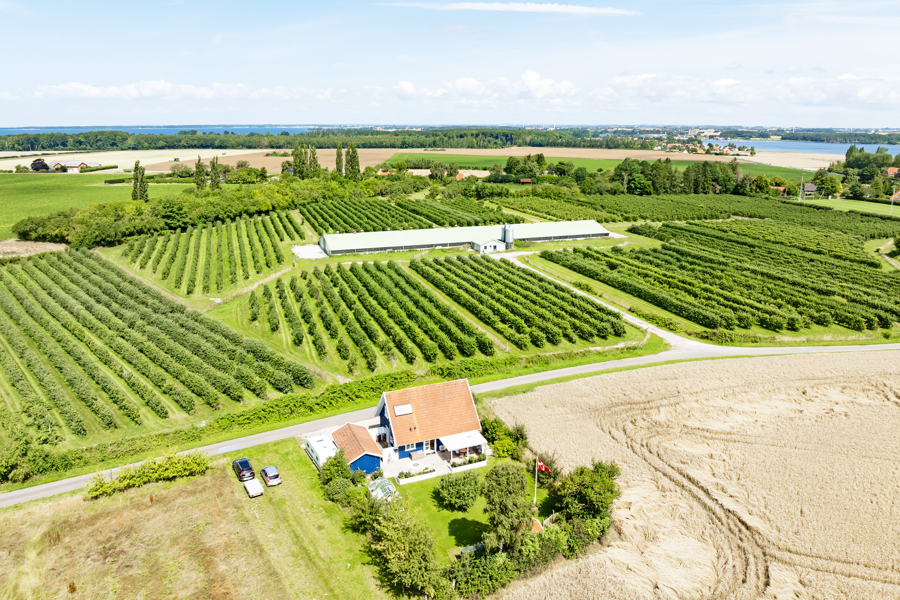 Fremhævet  billede i fuldskærmstilstand. Billede af Spurvestræde 19, Soesmarke, 4862 Guldborg