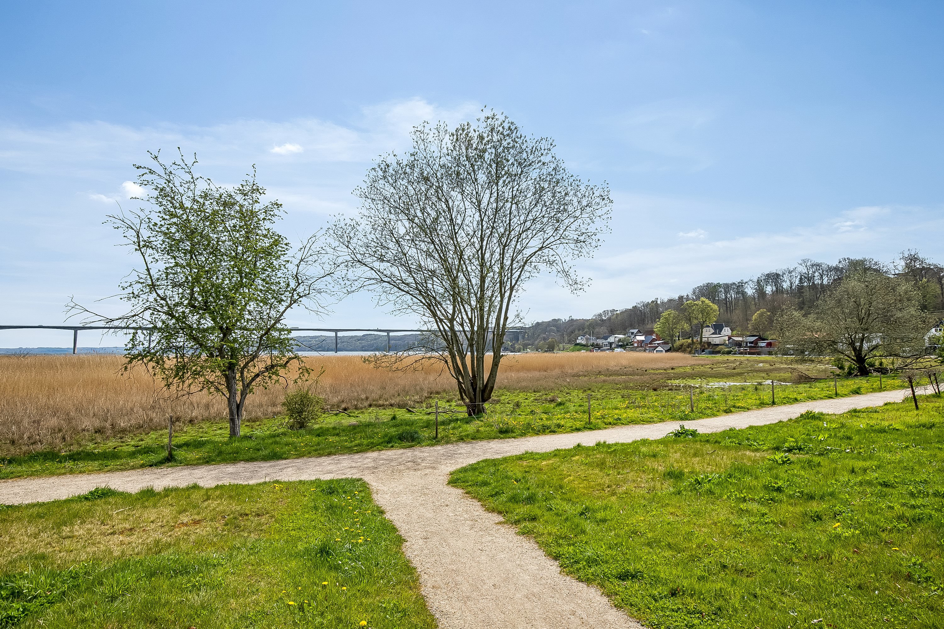 Fremhævet  billede i fuldskærmstilstand. Billede af Kvasen 38, Ibæk Strandvej, 7100 Vejle
