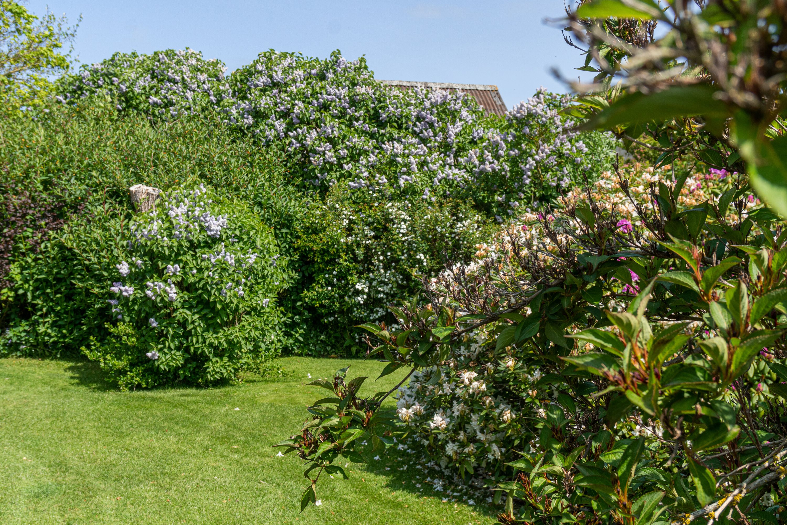 Fremhævet  billede i fuldskærmstilstand. Billede af Ydbyvej 110, 7760 Hurup Thy