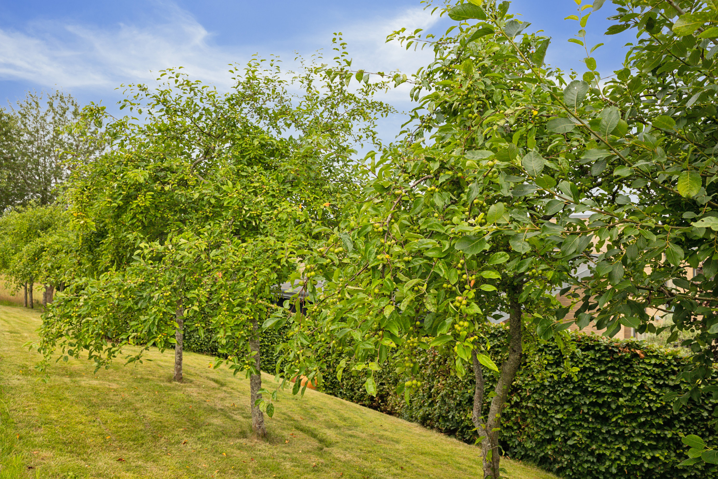 Fremhævet ejendom 1 billede i fuldskærmstilstand. Billede af Moesbakken 60, 8410 Rønde