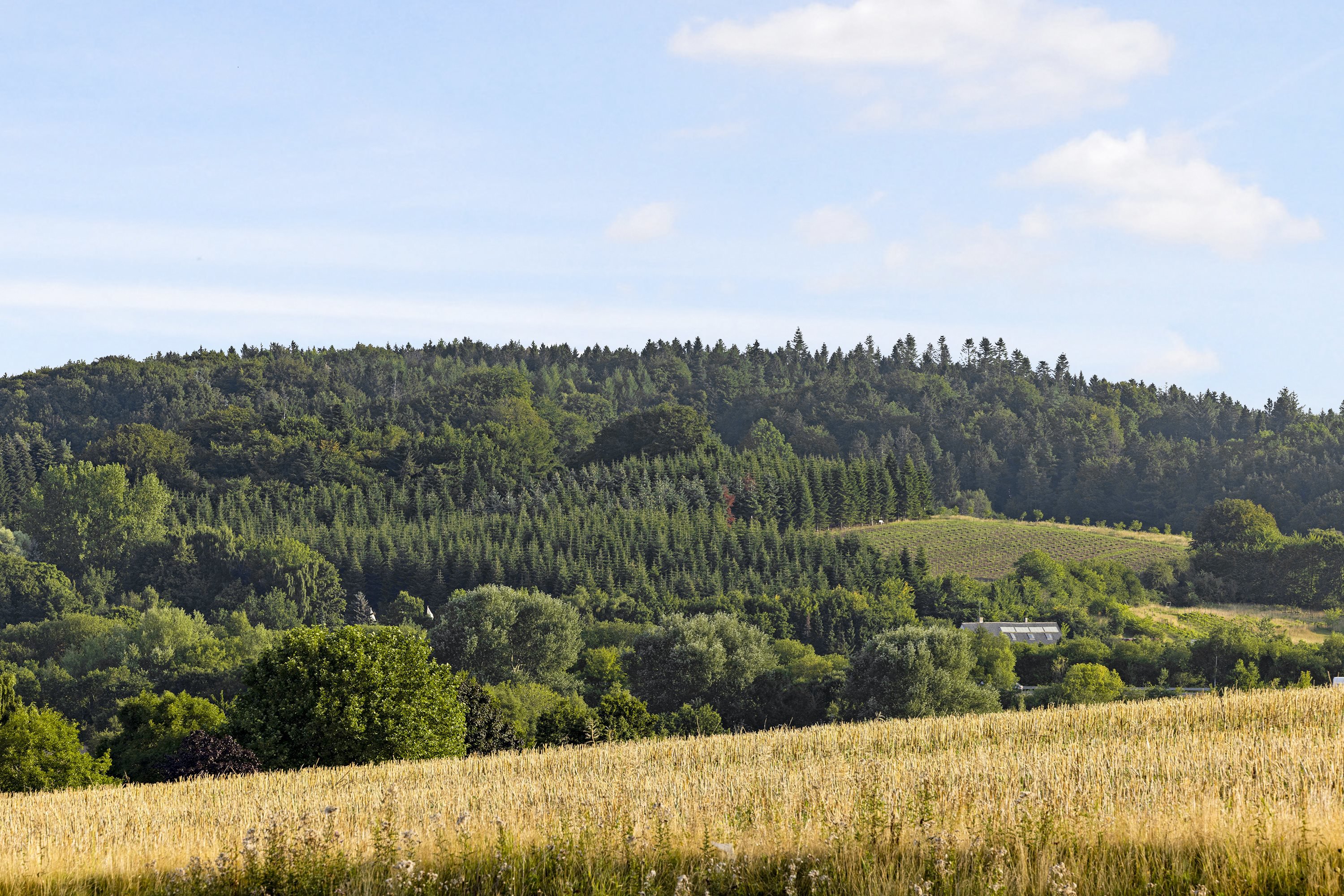Fremhævet  billede i fuldskærmstilstand. Billede af Kappelgårdparken 27B, 8410 Rønde