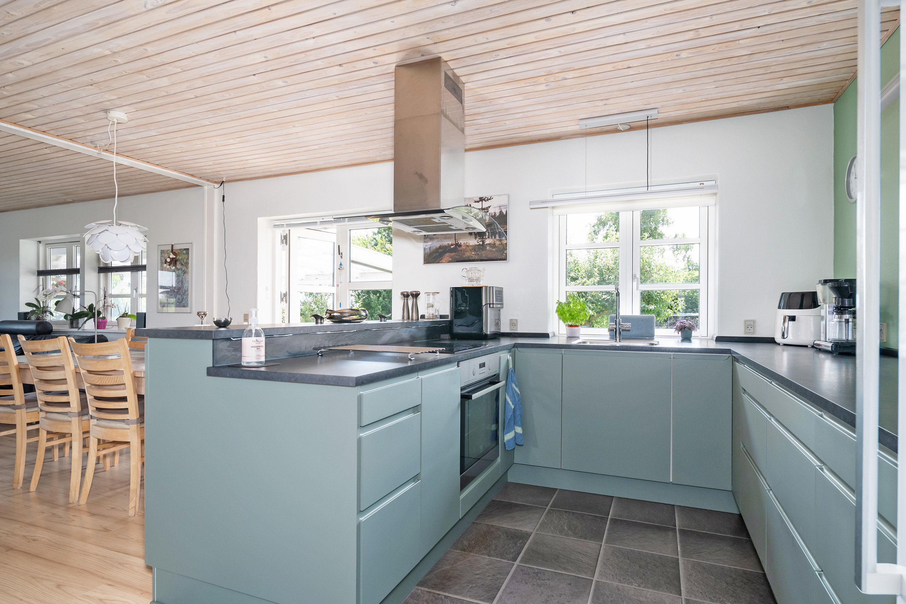 Fremhævet  billede i fuldskærmstilstand. Billede af Spurvestræde 19, Soesmarke, 4862 Guldborg