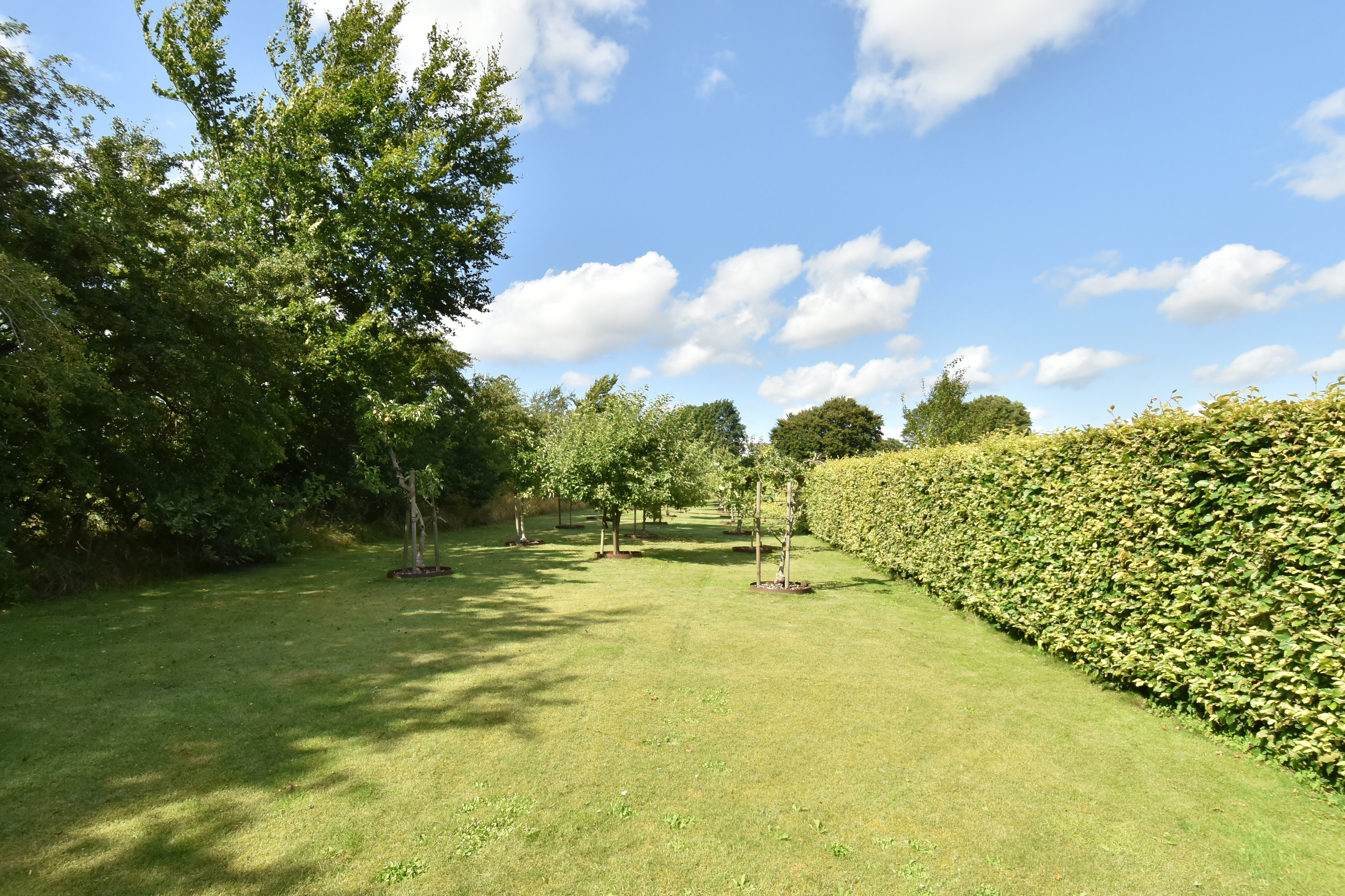 Fremhævet have billede i fuldskærmstilstand. Billede af Vardevej 125, 6933 Kibæk