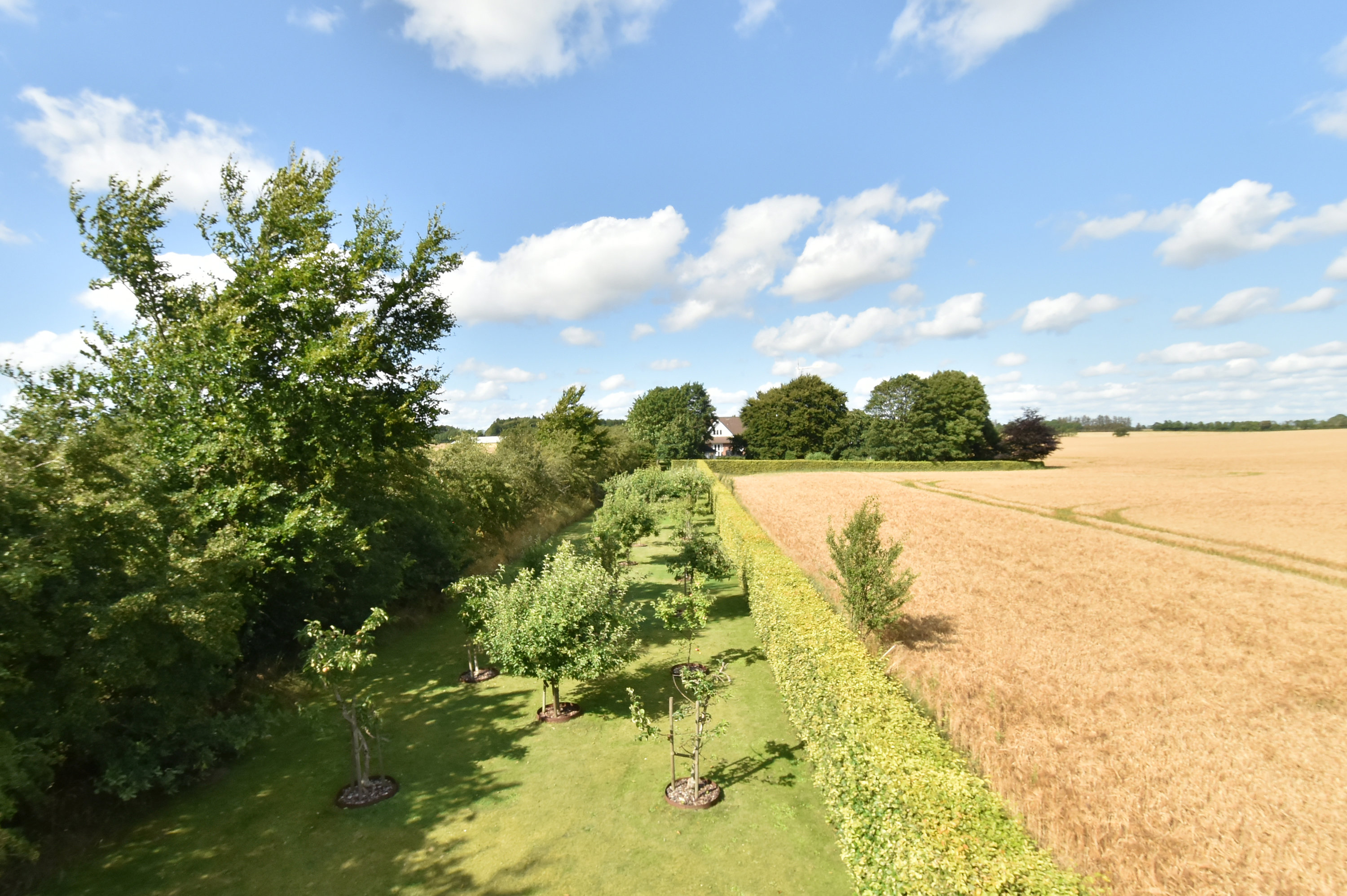 Fremhævet have billede i fuldskærmstilstand. Billede af Vardevej 125, 6933 Kibæk