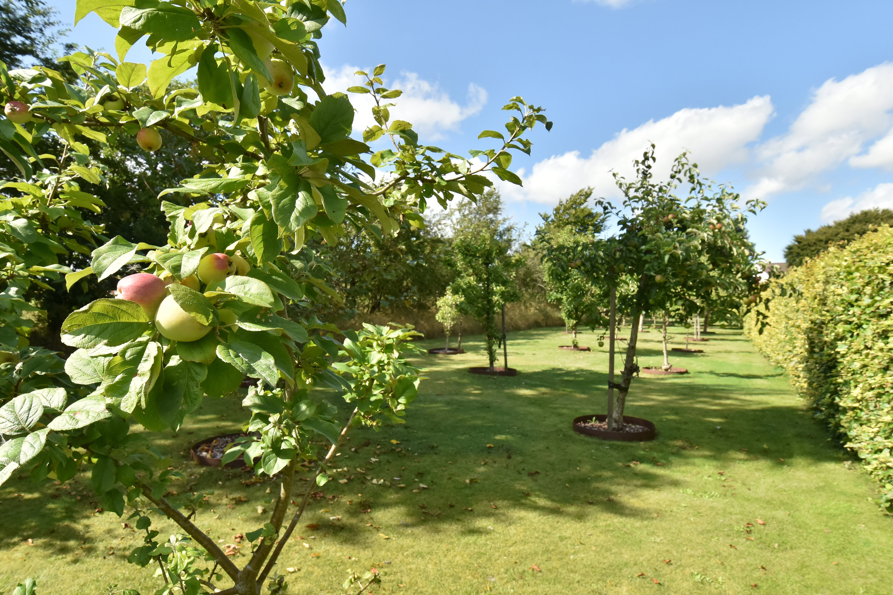 Fremhævet have billede i fuldskærmstilstand. Billede af Vardevej 125, 6933 Kibæk
