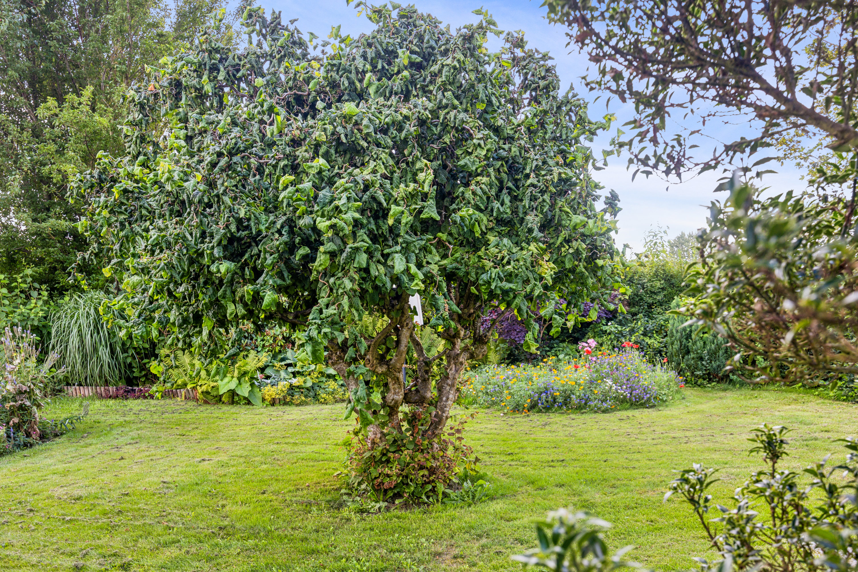 Fremhævet have billede i fuldskærmstilstand. Billede af Lindumvej 6, Hvornum, 9500 Hobro