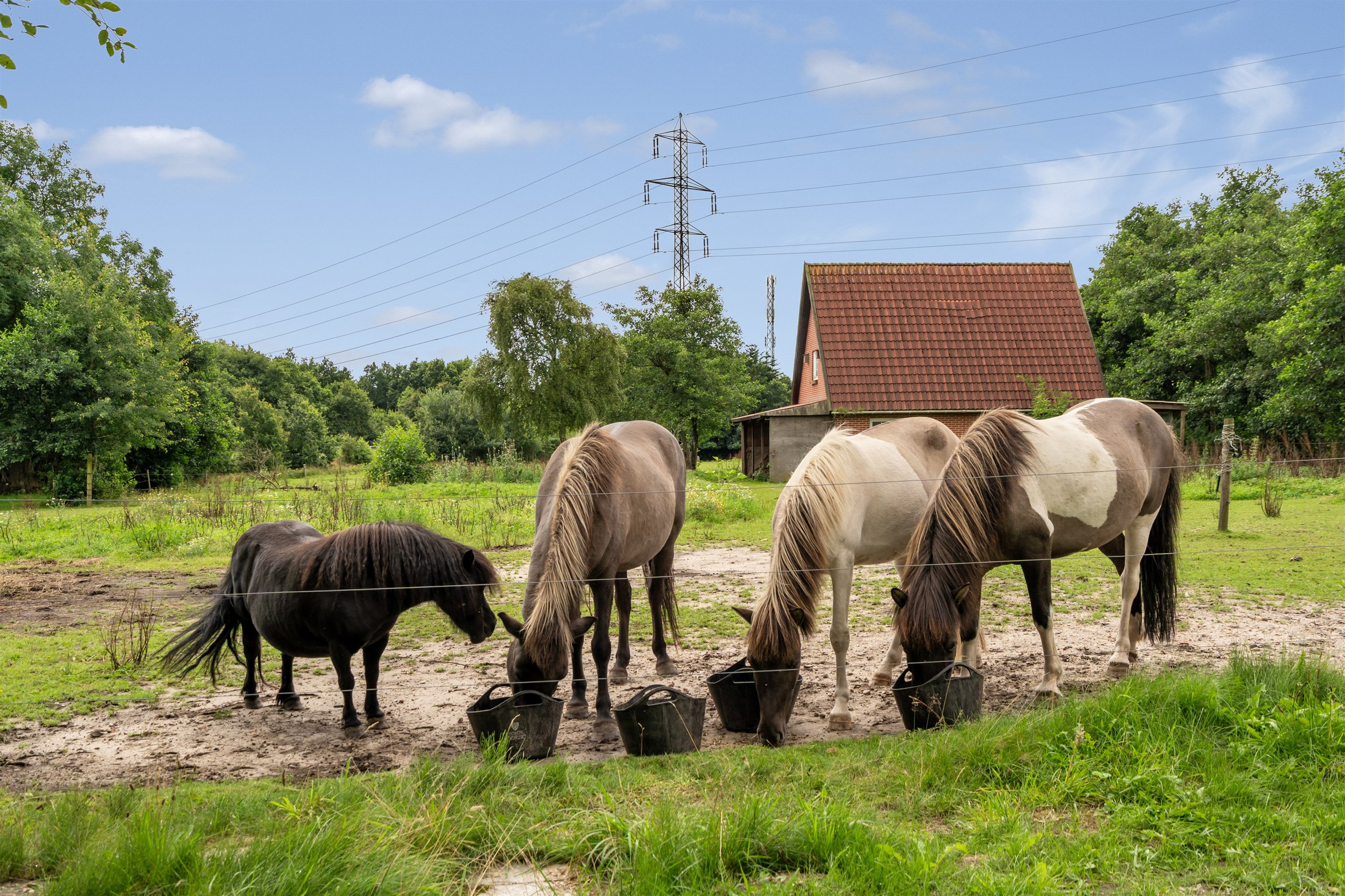 Fremhævet ejendommen billede i fuldskærmstilstand. Billede af Askærgårdvej 19, Sig, 6800 Varde