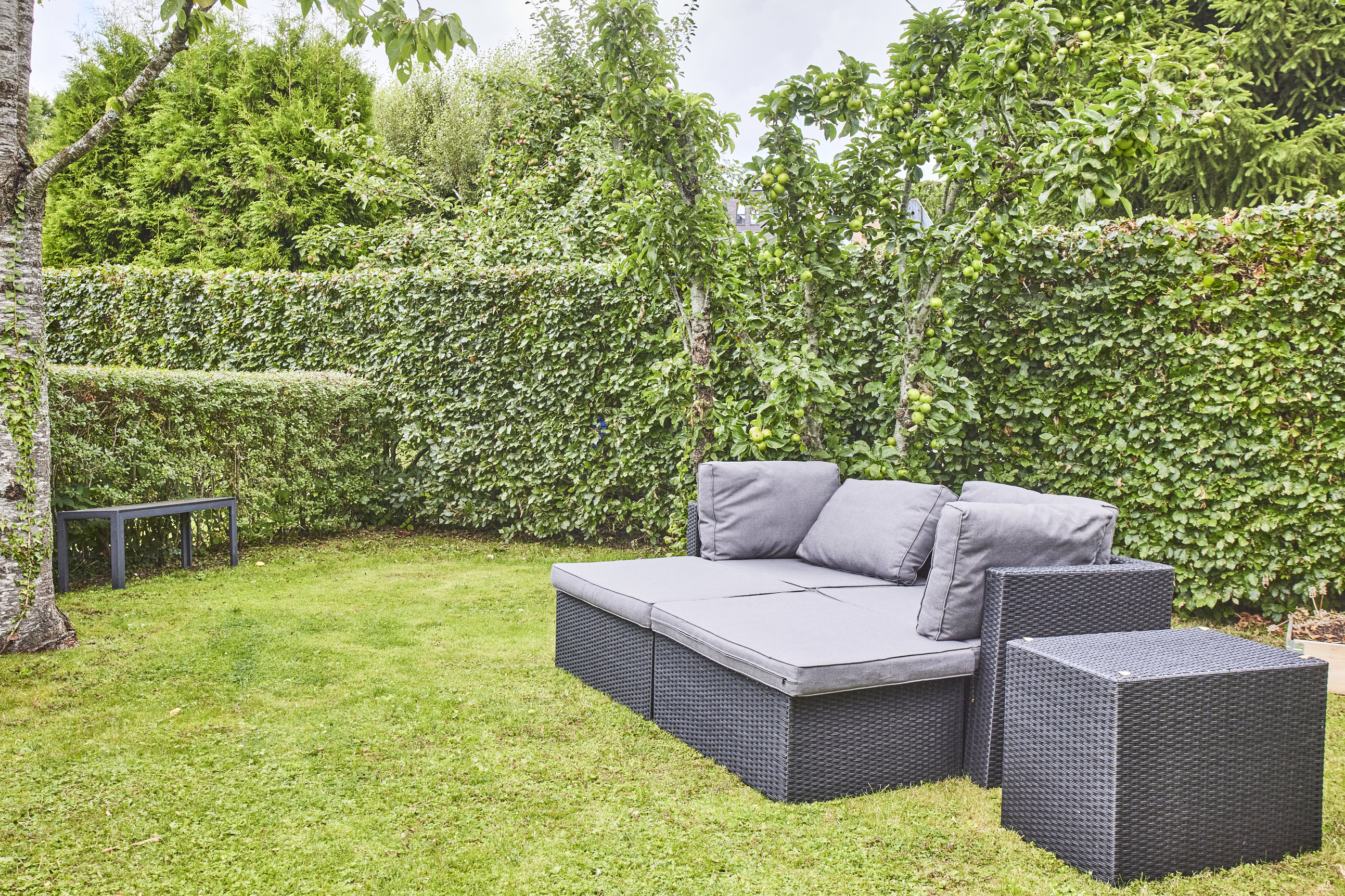 Fremhævet have billede i fuldskærmstilstand. Billede af Nørre Alle 31, 8660 Skanderborg