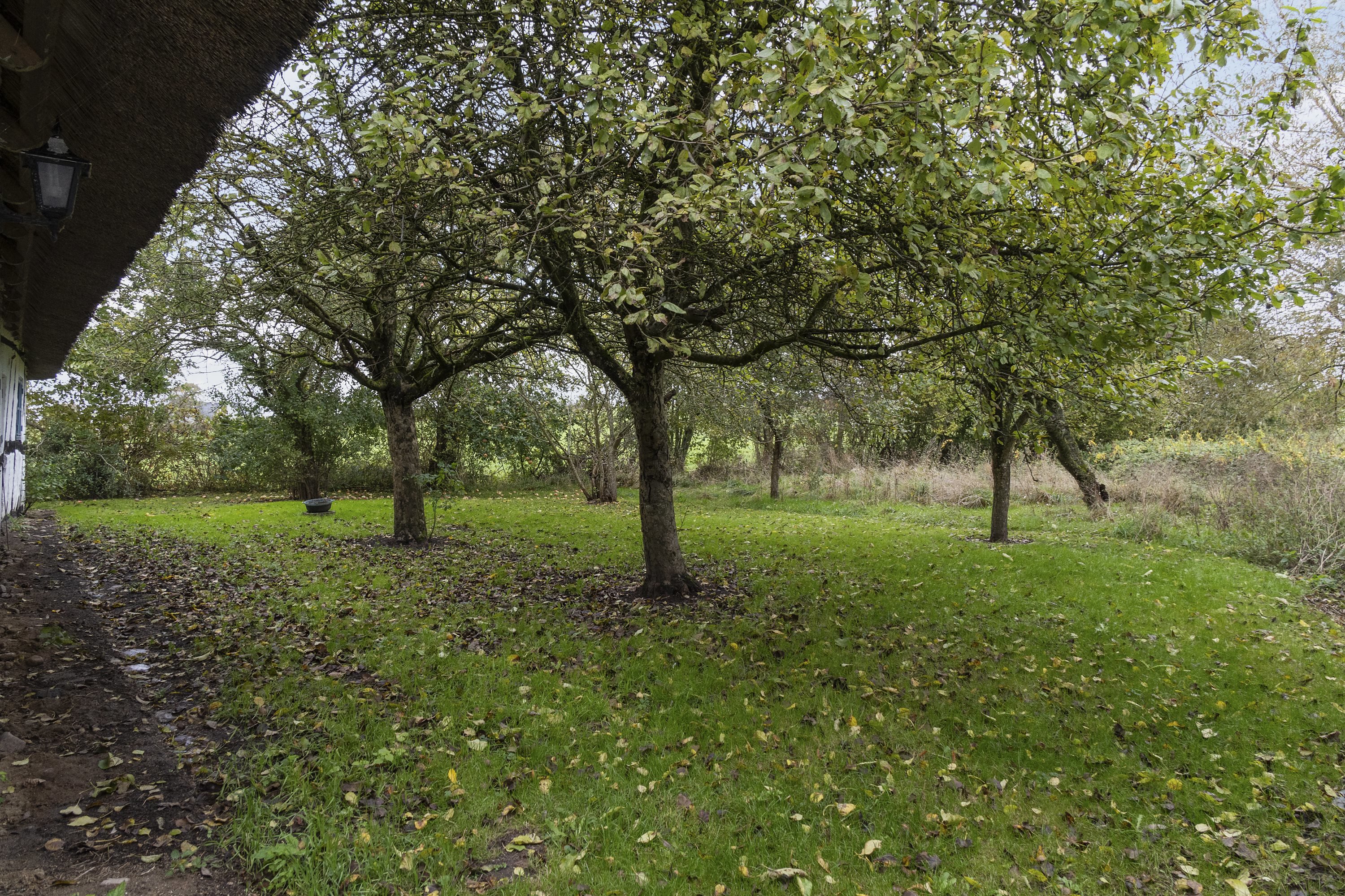 Fremhævet  billede i fuldskærmstilstand. Billede af Strandbyvej 67, Strandby Mk, 5683 Haarby