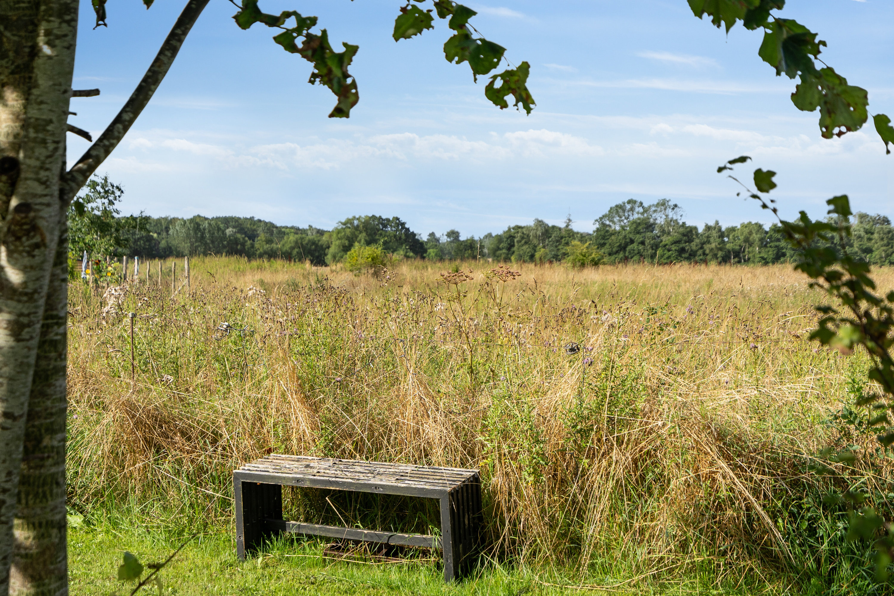 Fremhævet udsigt billede i fuldskærmstilstand. Billede af Brandskov 35, Vråmose, 4654 Faxe Ladeplads