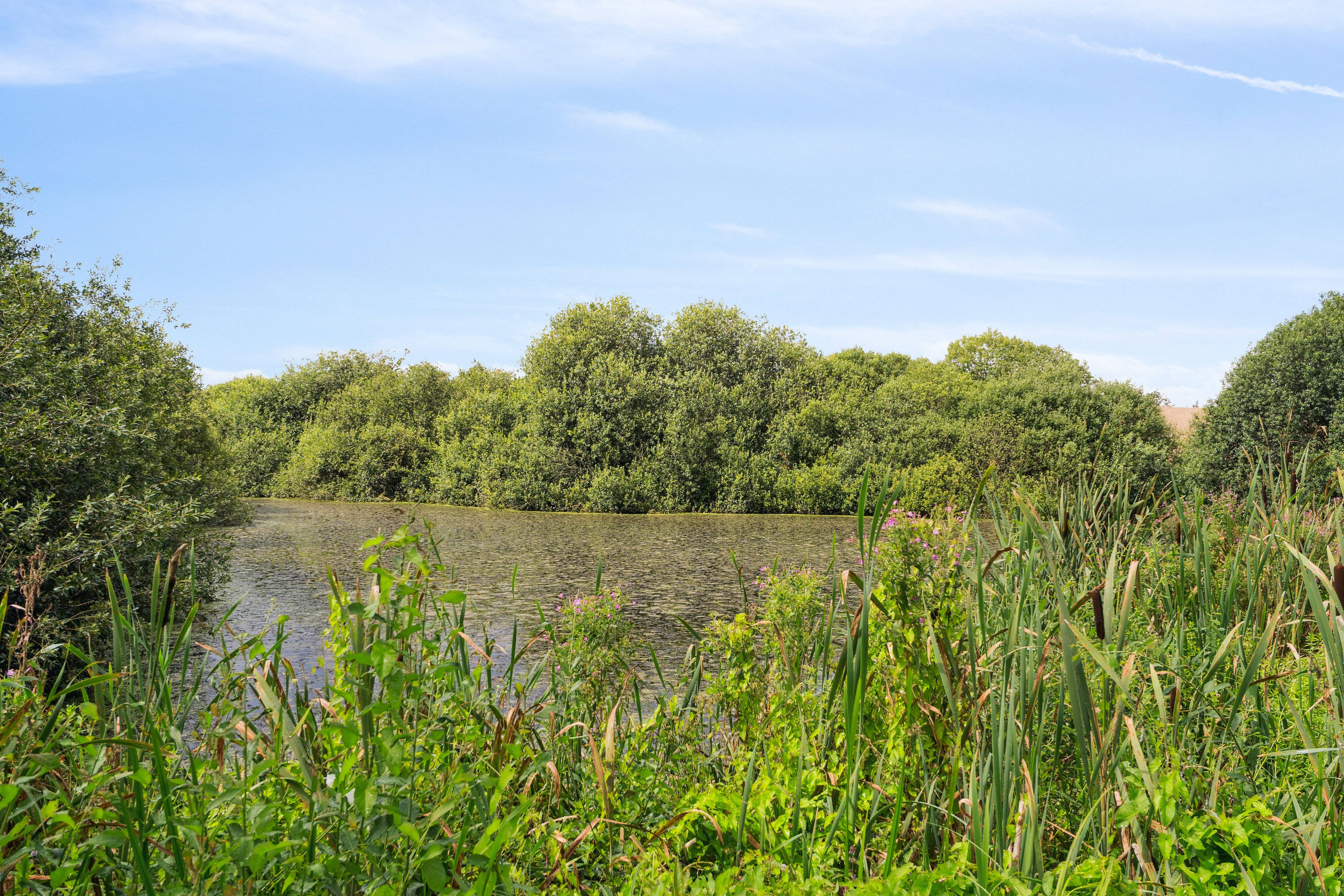 Fremhævet udendørs billede i fuldskærmstilstand. Billede af Møllegyden 37, Gamby, 5471 Søndersø