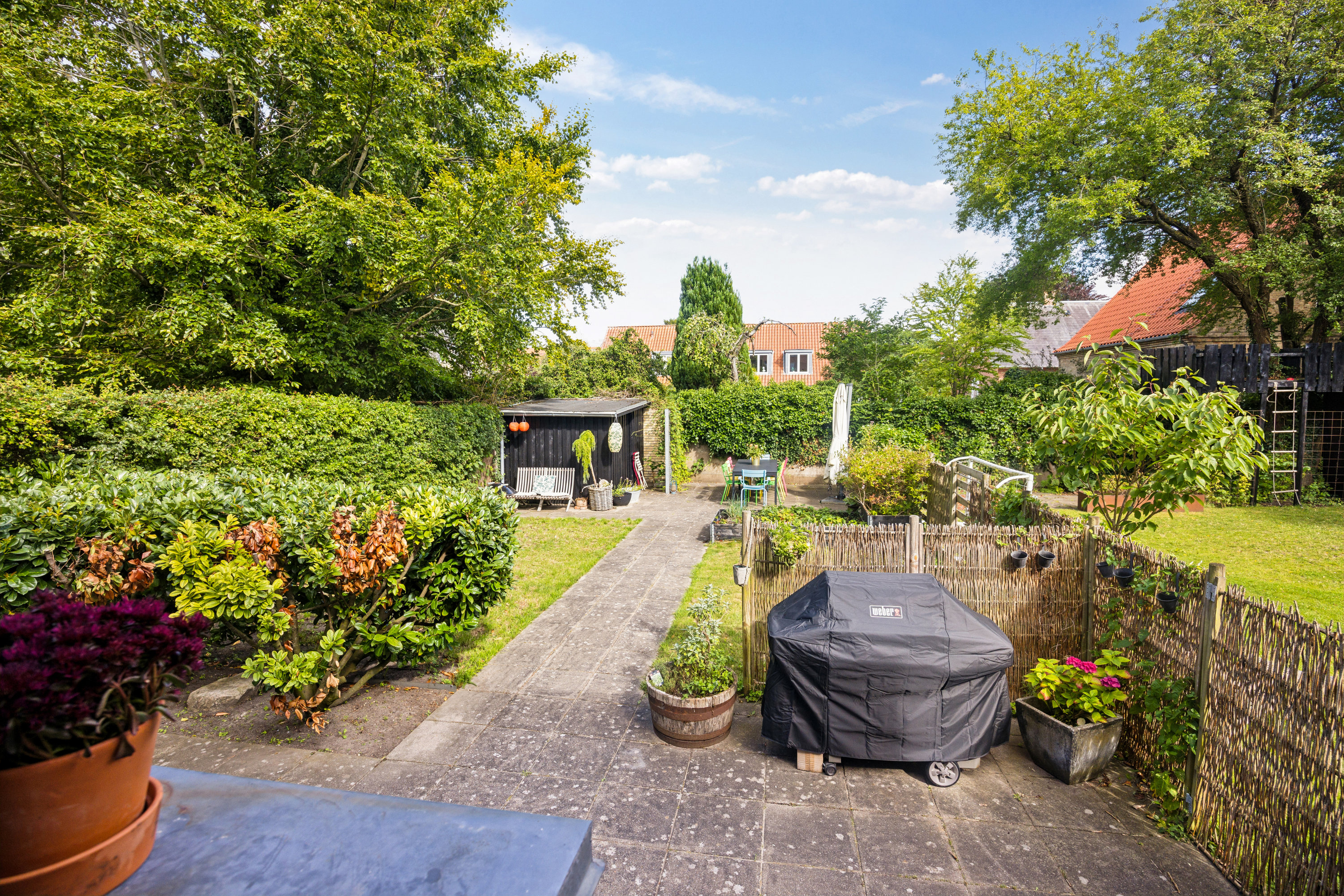 Fremhævet have billede i fuldskærmstilstand. Billede af Kong Christians Alle 21, st.., 9000 Aalborg