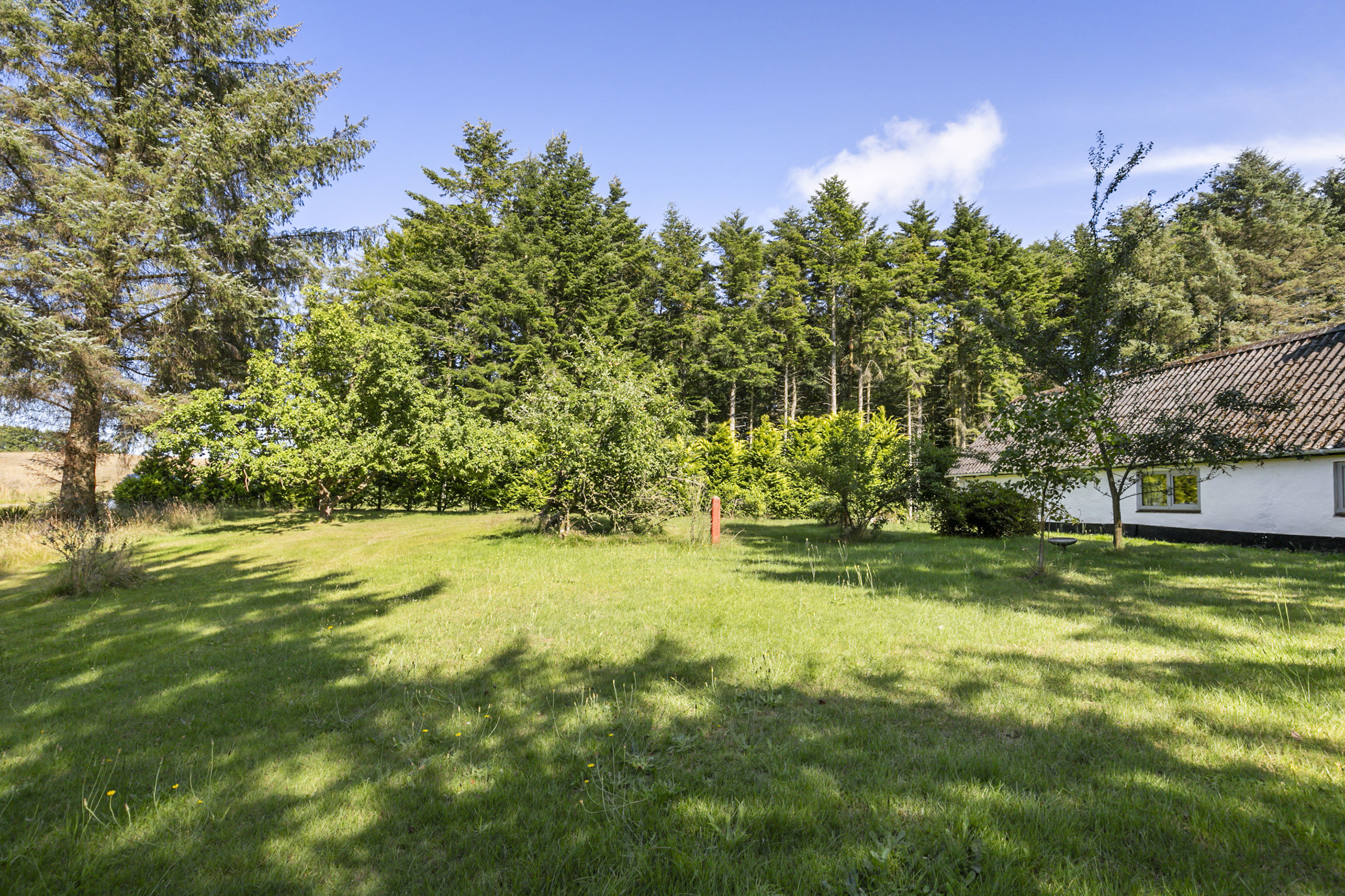 Fremhævet have billede i fuldskærmstilstand. Billede af Sdr. Kirkevej 51, Præstbro, 9330 Dronninglund