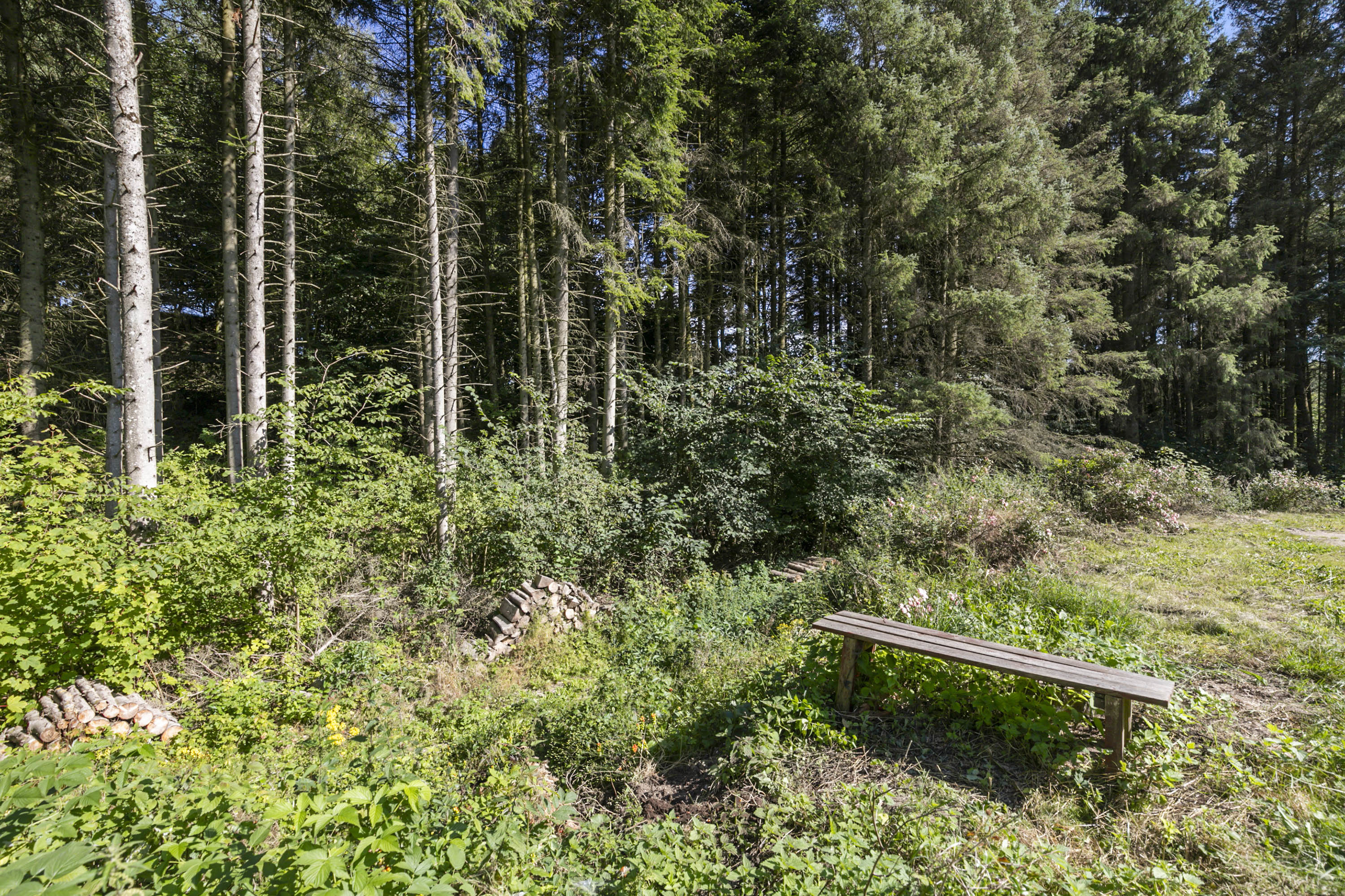 Fremhævet ejendommen billede i fuldskærmstilstand. Billede af Sdr. Kirkevej 51, Præstbro, 9330 Dronninglund