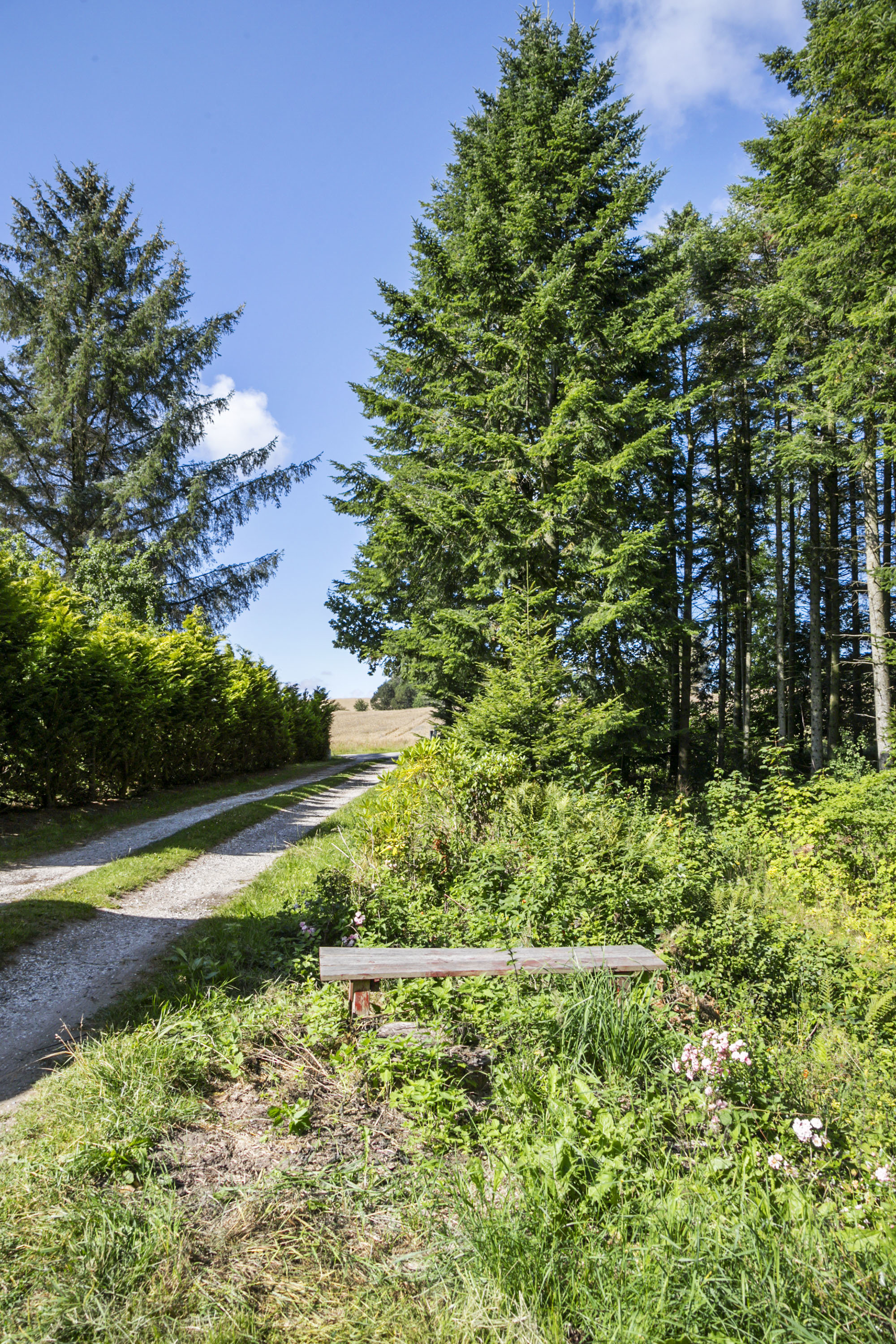 Fremhævet ejendommen billede i fuldskærmstilstand. Billede af Sdr. Kirkevej 51, Præstbro, 9330 Dronninglund