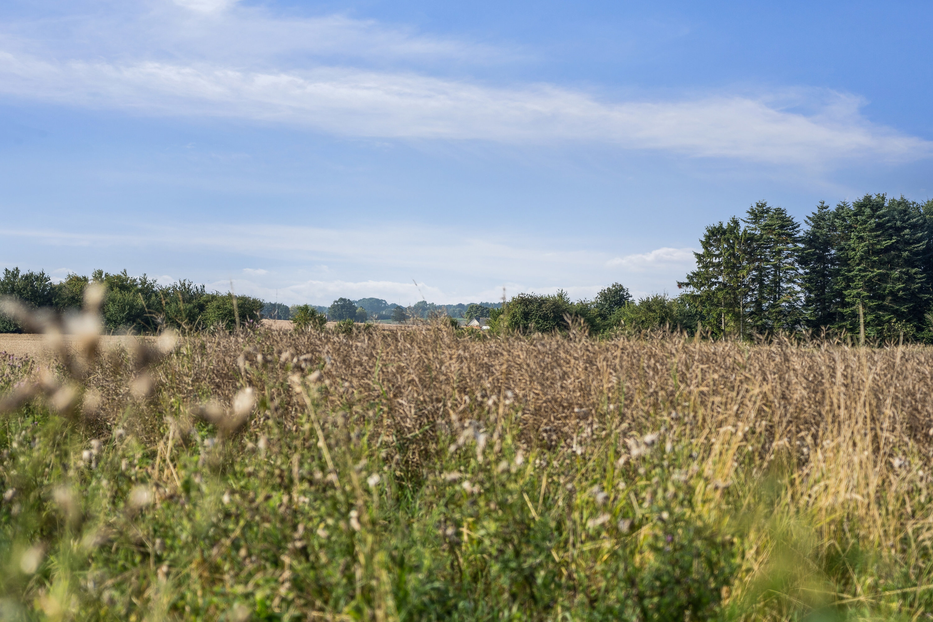 Miniaturebillede 1: udendørs. Billede af Hyllestedvej 22, Hyllested, 4261 Dalmose