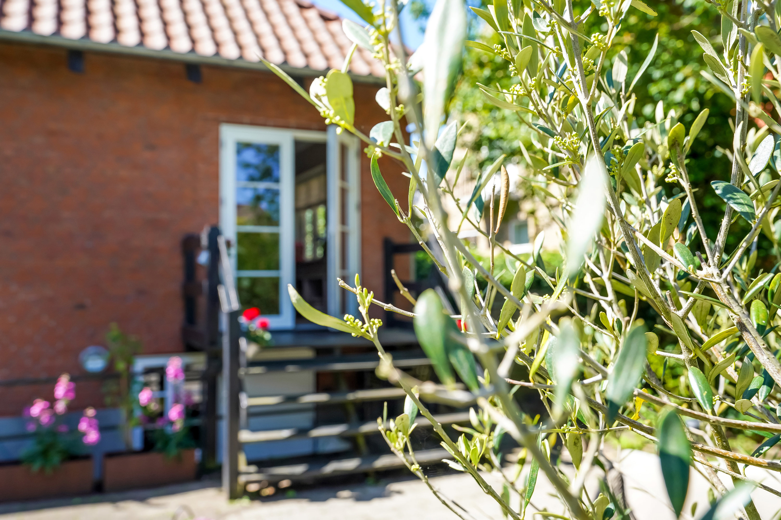 Fremhævet  billede i fuldskærmstilstand. Billede af Margrethes Allé 3, Dalum, 5250 Odense SV
