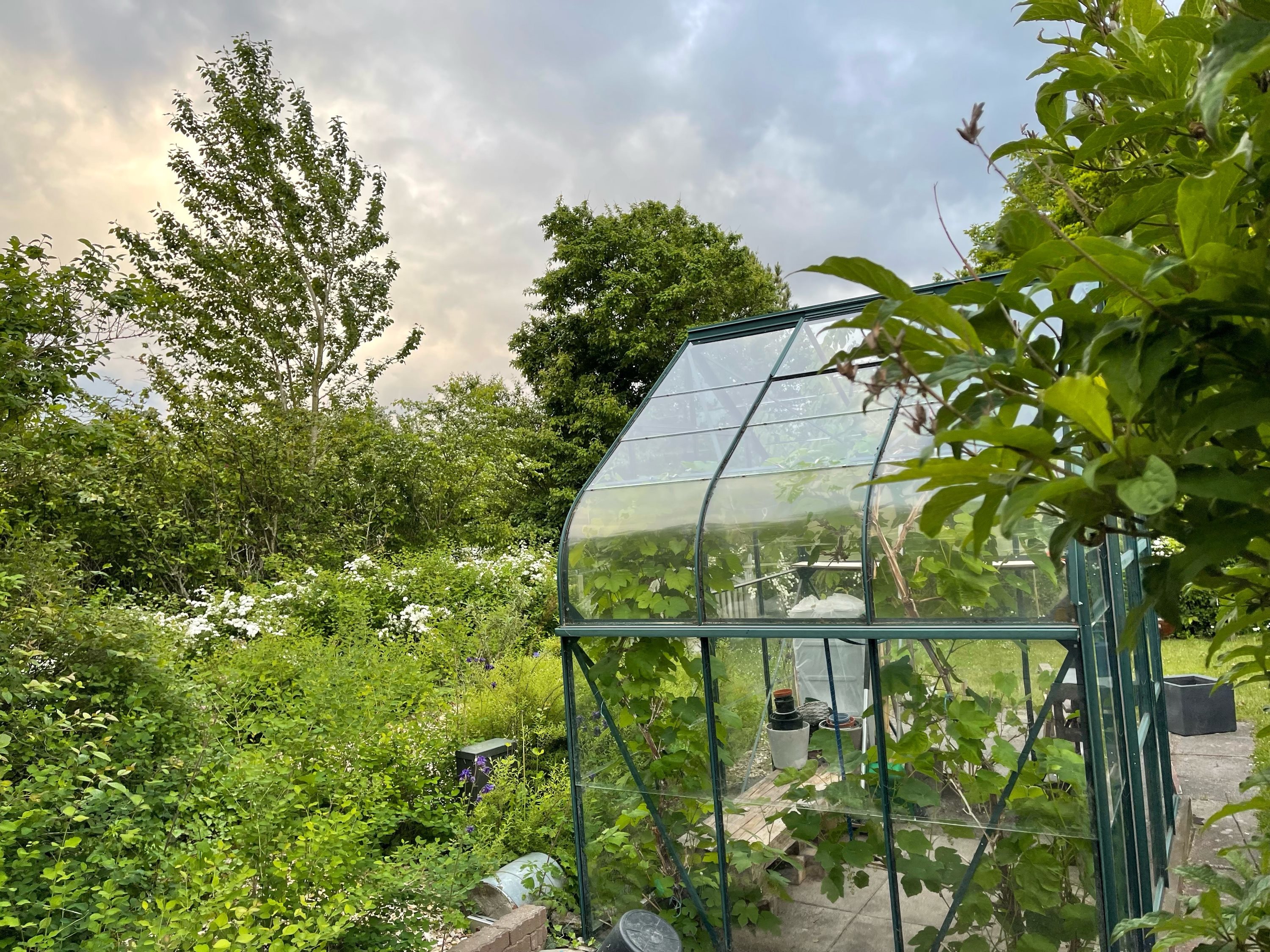 Fremhævet have billede i fuldskærmstilstand. Billede af Hasselvej 2, Glyngøre, 7870 Roslev