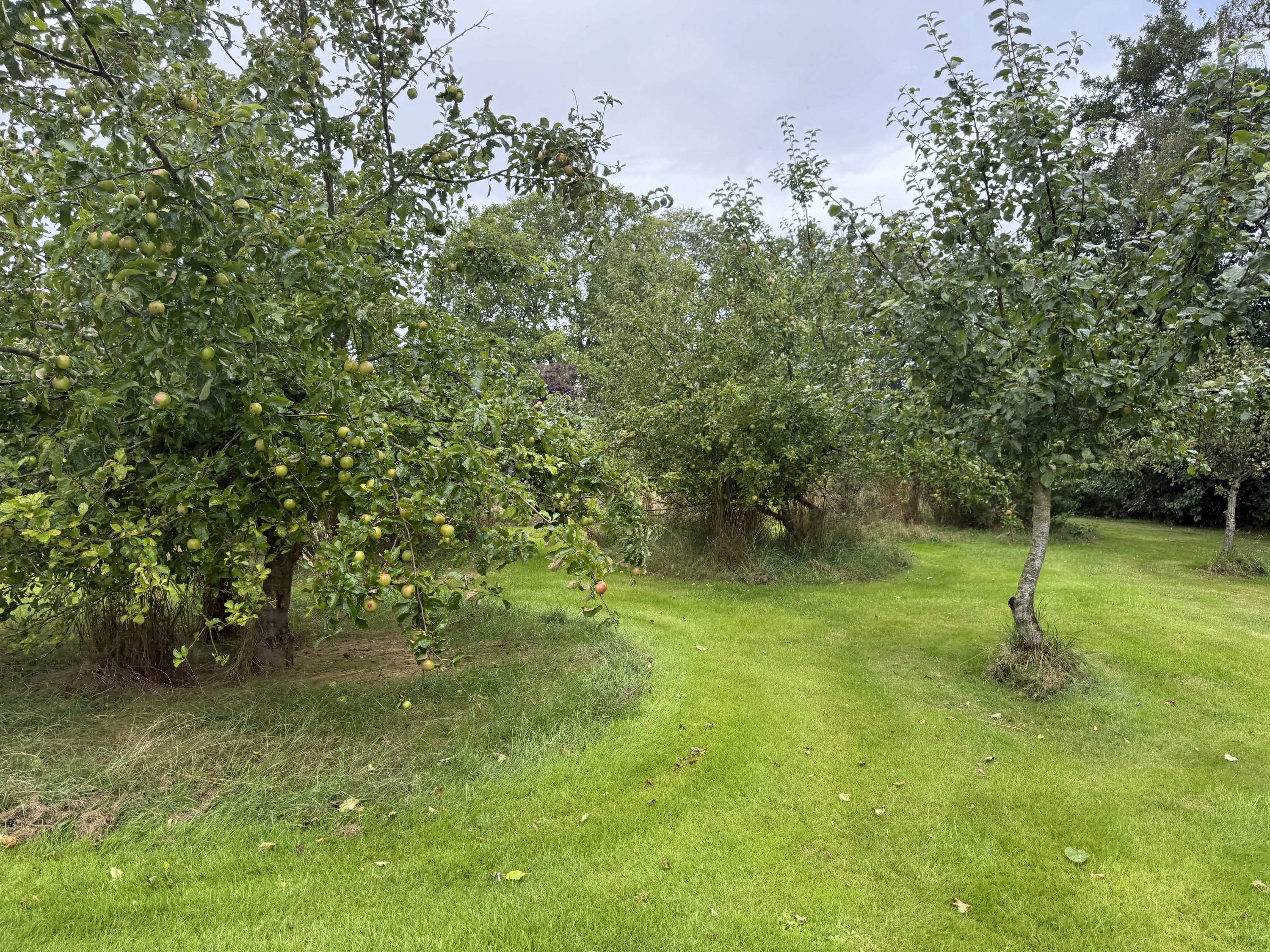 Fremhævet  billede i fuldskærmstilstand. Billede af Favrgaardsvej 85, Ondrup, 8300 Odder