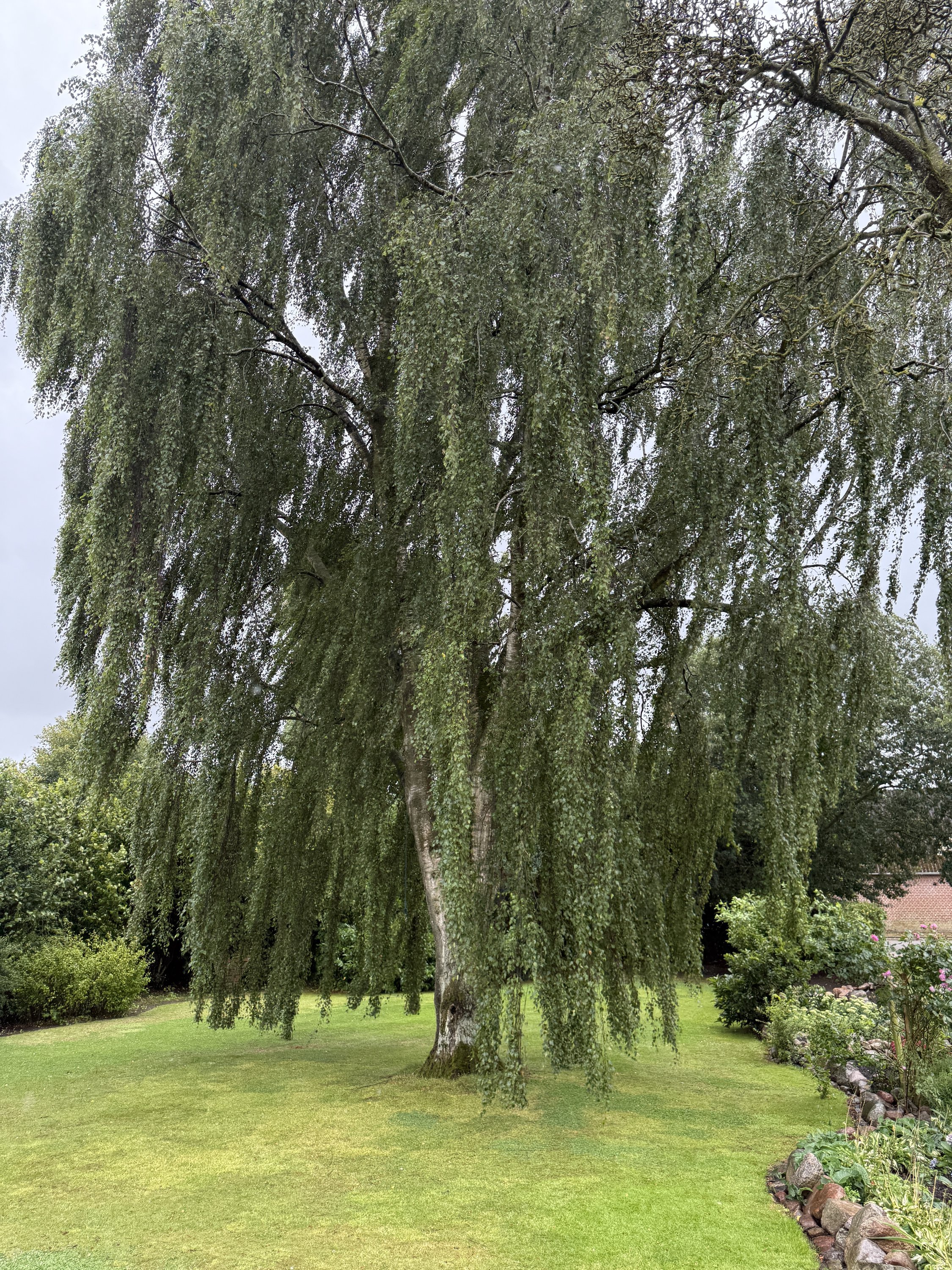 Fremhævet  billede i fuldskærmstilstand. Billede af Favrgaardsvej 85, Ondrup, 8300 Odder