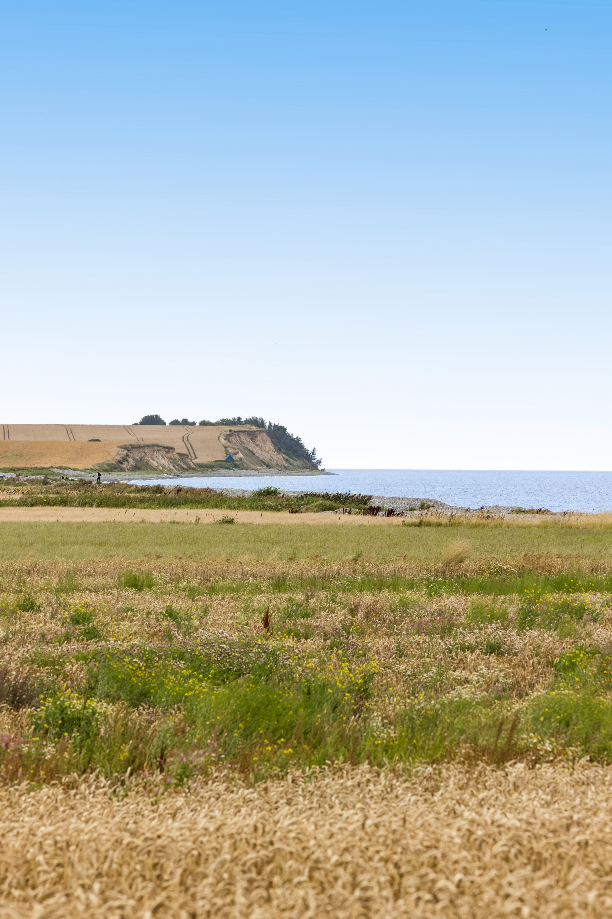 Fremhævet omgivelser billede i fuldskærmstilstand. Billede af Karlby Strandvej 21, 8500 Grenaa