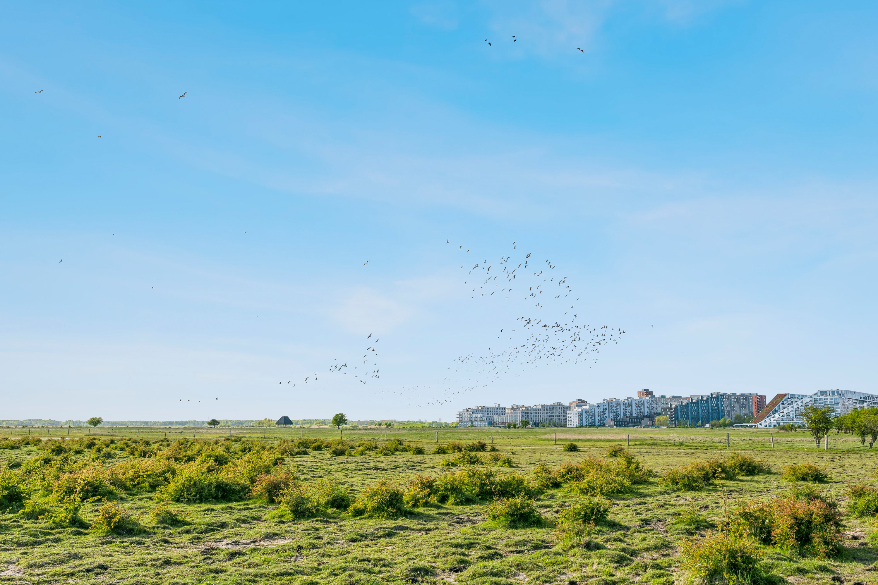 Fremhævet  billede i fuldskærmstilstand. Billede af Else Alfelts Vej 10H, 1. tv., 2300 København S