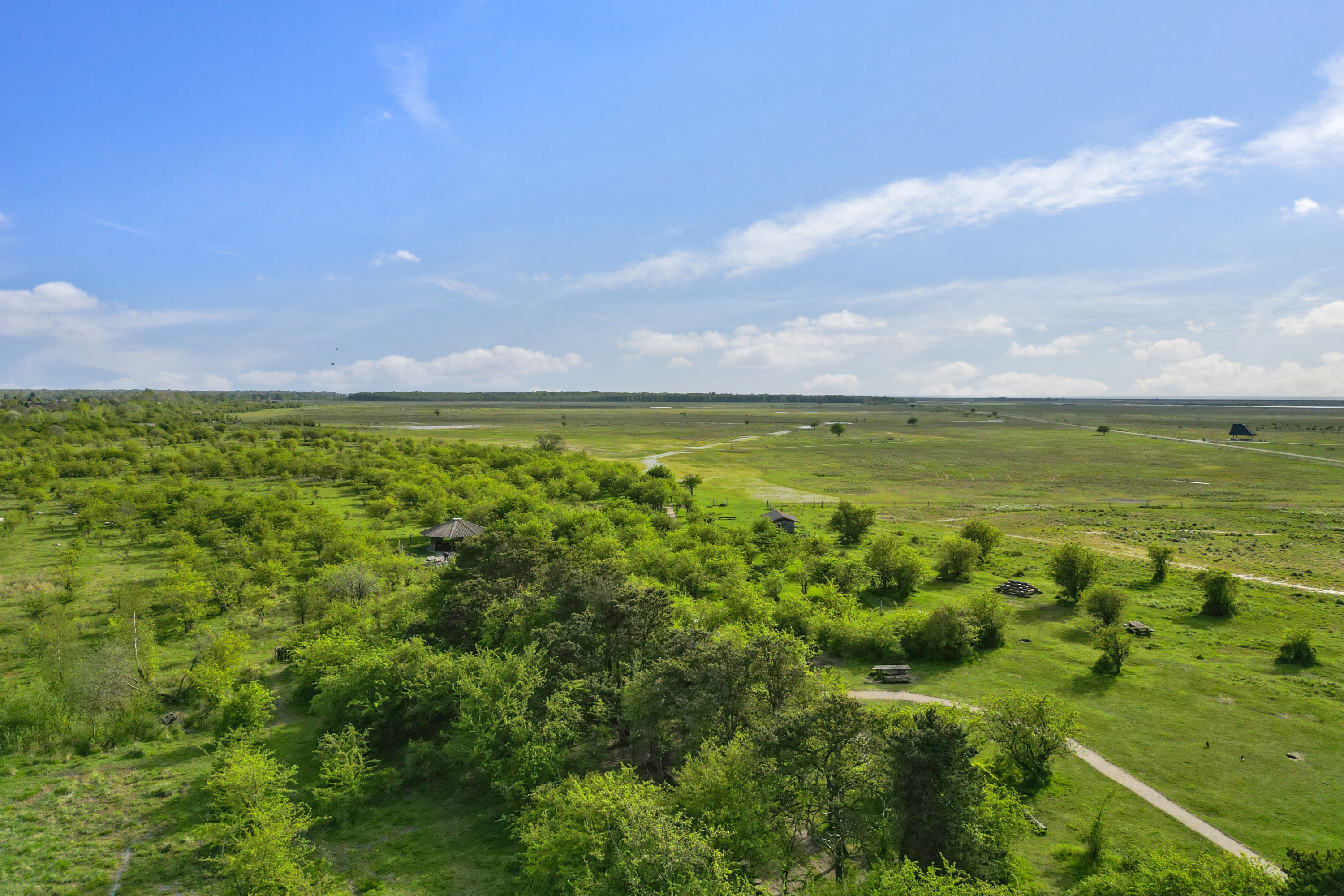 Fremhævet  billede i fuldskærmstilstand. Billede af Else Alfelts Vej 10H, 1. tv., 2300 København S
