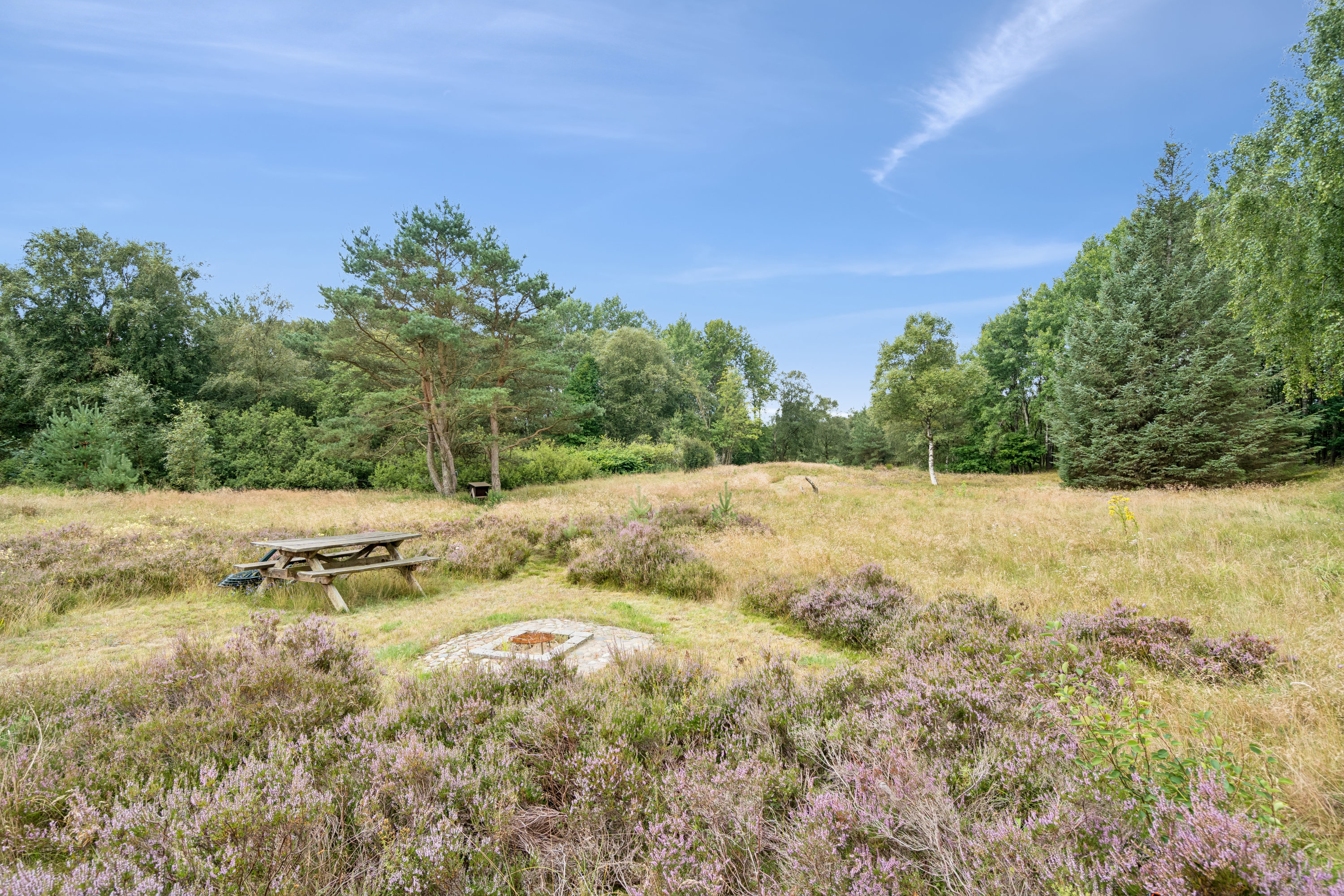 Fremhævet have billede i fuldskærmstilstand. Billede af Mosevej 4, Tversted, 9881 Bindslev