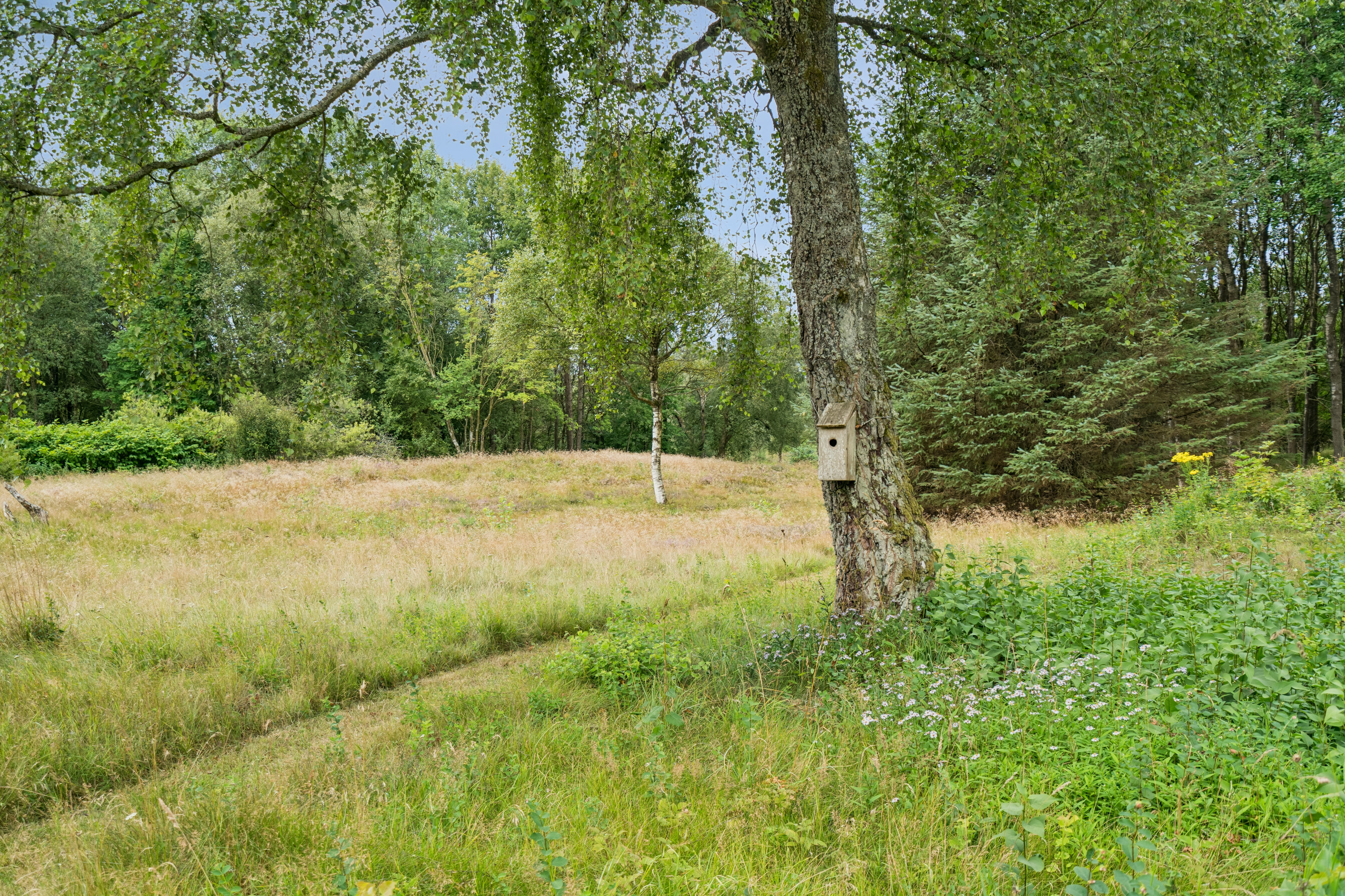 Fremhævet have billede i fuldskærmstilstand. Billede af Mosevej 4, Tversted, 9881 Bindslev