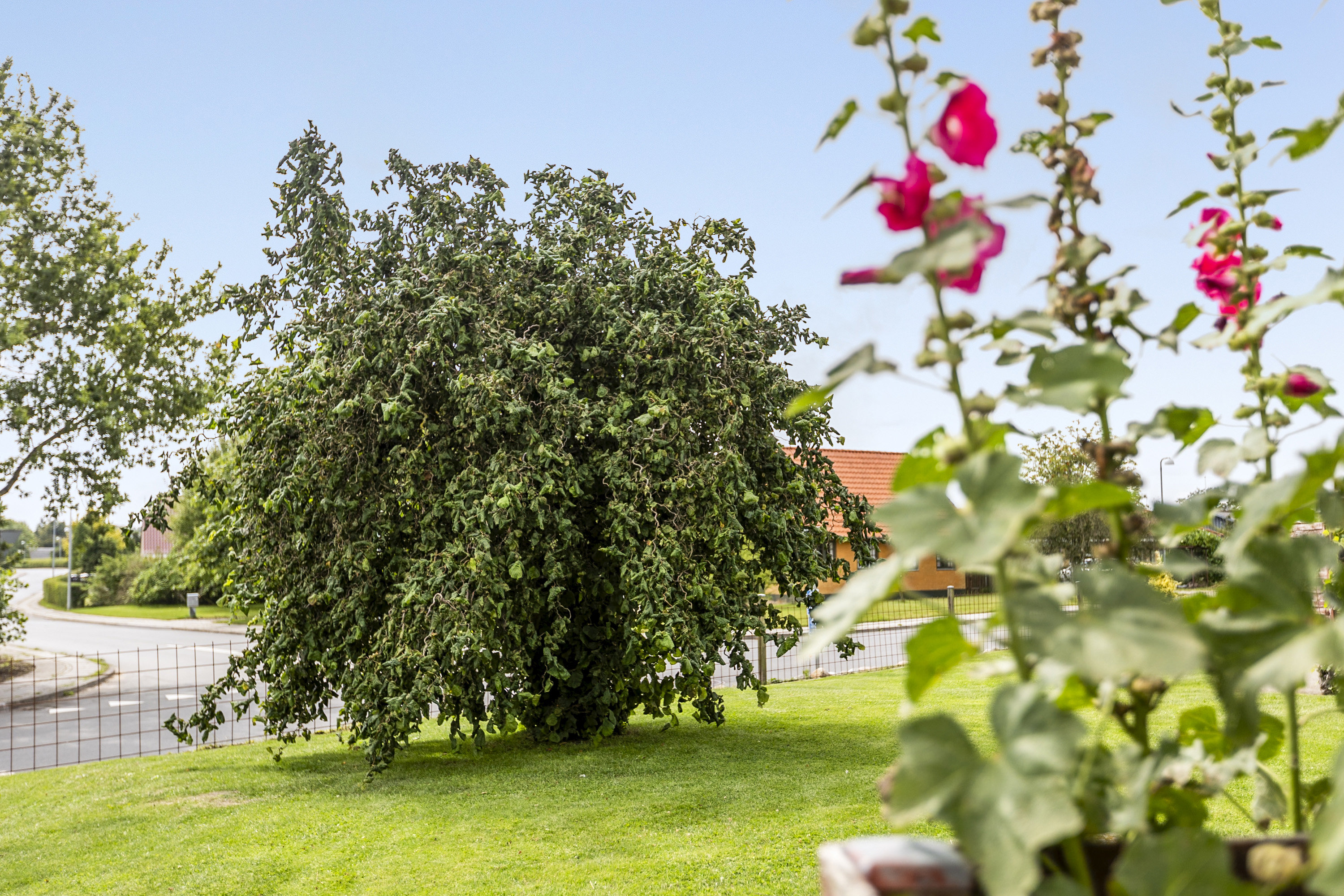 Fremhævet område billede i fuldskærmstilstand. Billede af Lykkevej 15A, Løjt Kirkeby, 6200 Aabenraa