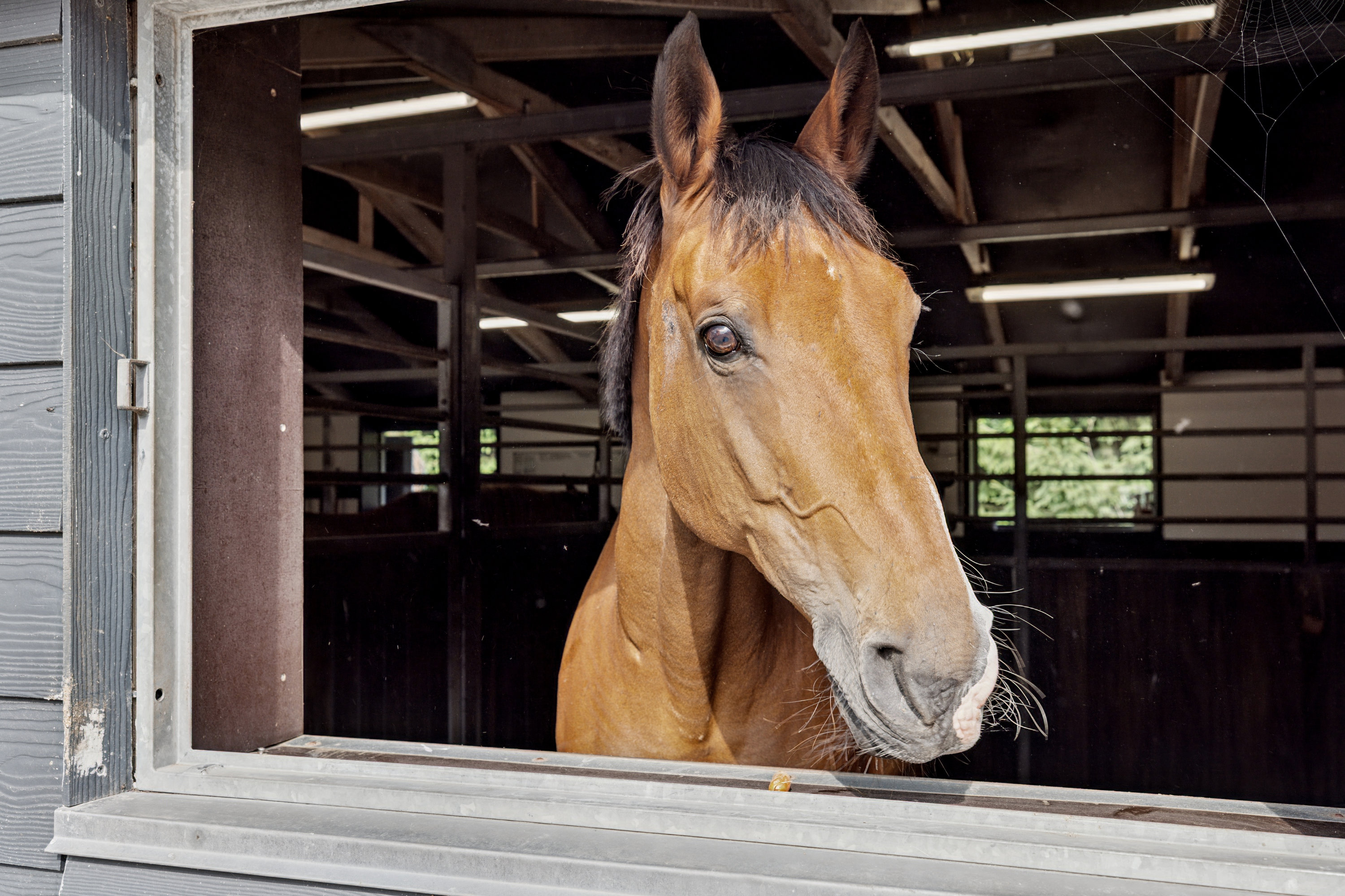 Miniaturebillede 2: andet. Billede af Liseborgvej 45, 8800 Viborg