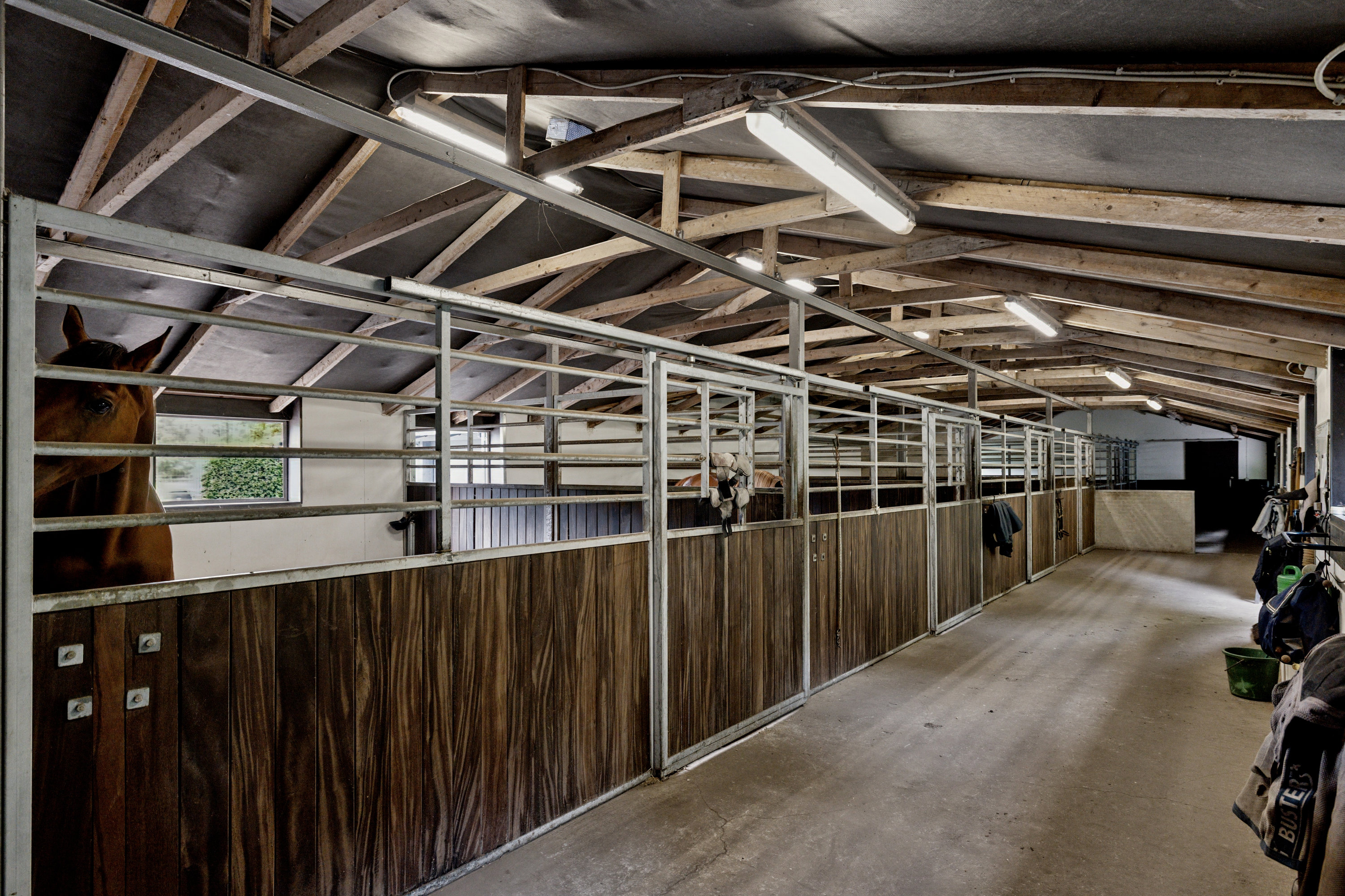 Fremhævet stald billede i fuldskærmstilstand. Billede af Liseborgvej 45, 8800 Viborg